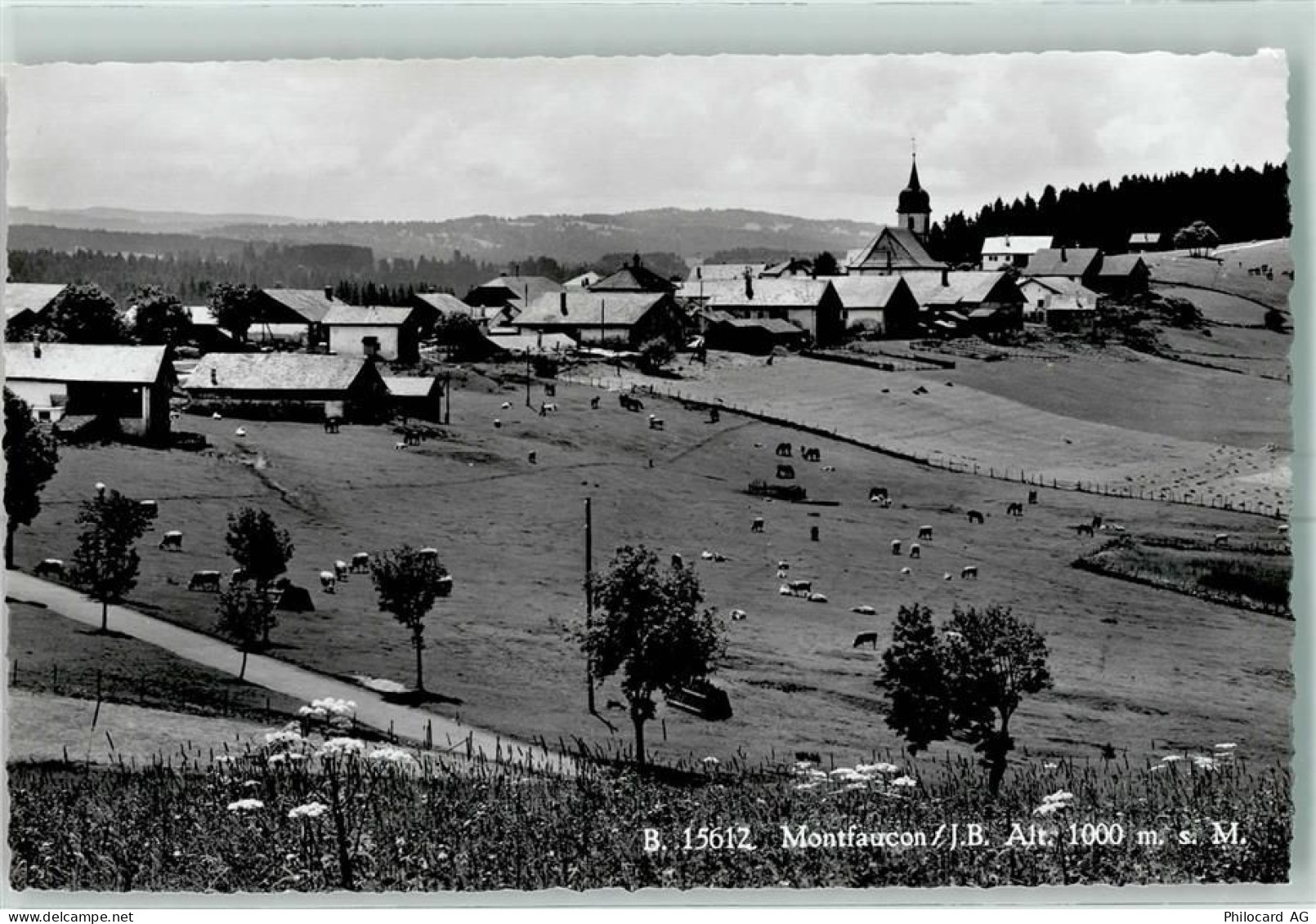 2362 Montfaucon - 13149480