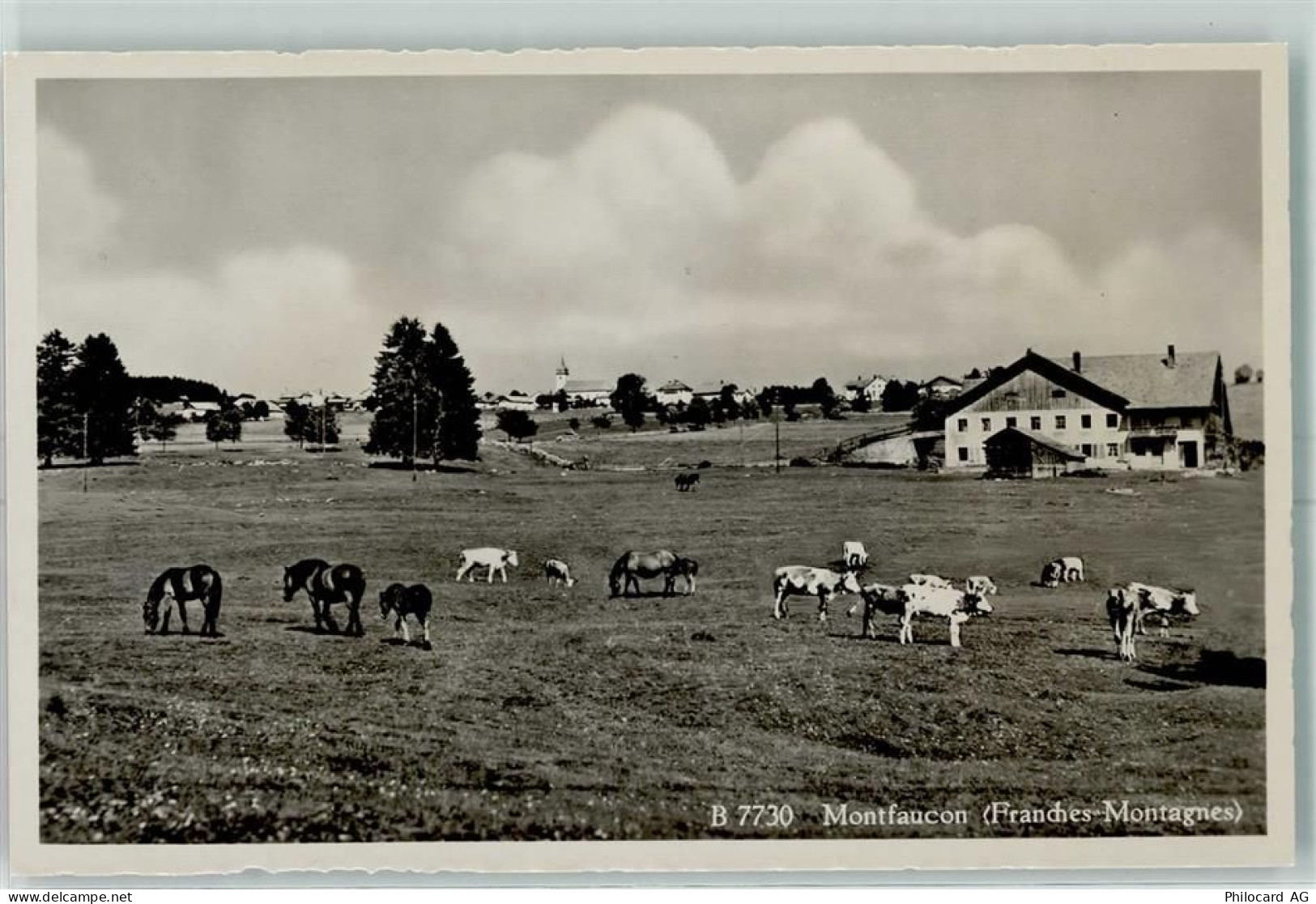 2362 Montfaucon - Kühe Pferde - 13149240
