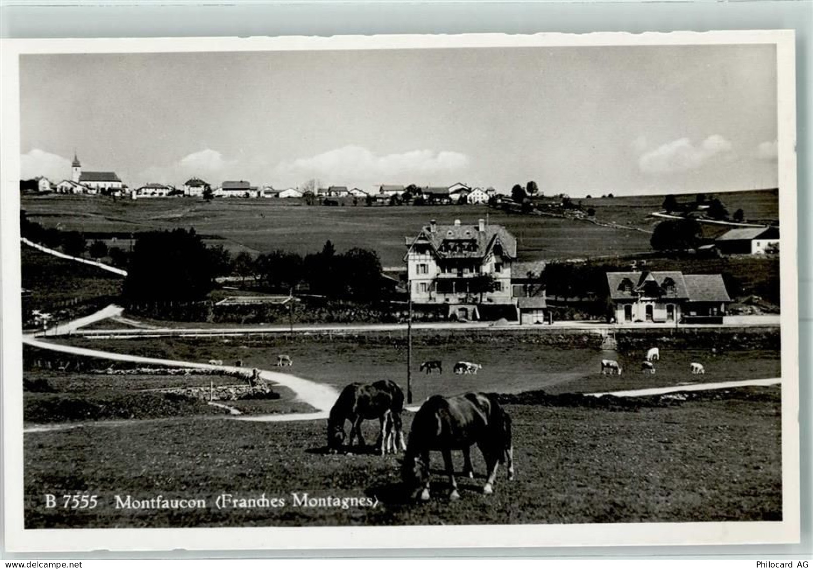 2362 Montfaucon - Pferde - 13149483