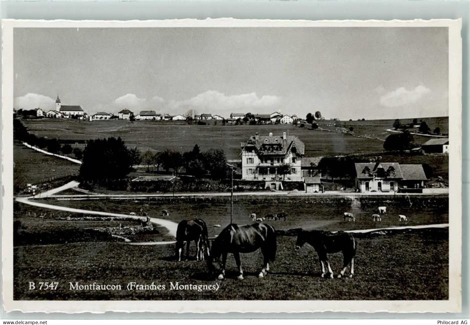 2362 Montfaucon - Pferde - 13149490