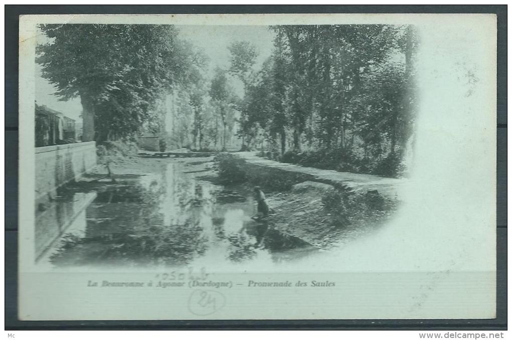 24 - La Beauronne à Agonac (Dordogne) - Promenade des Saules - Papier bleuté