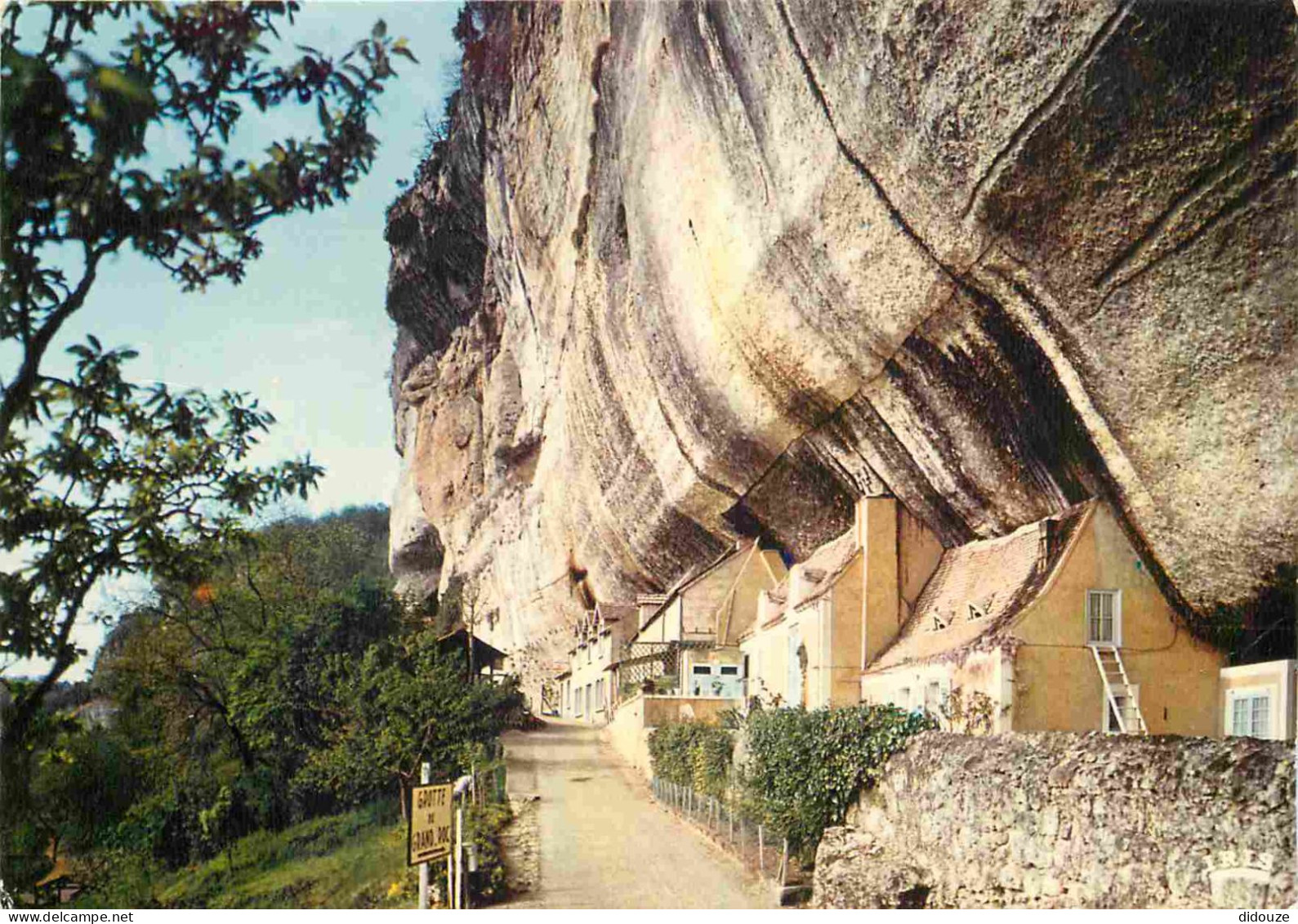 24 - Les Eyzies - Laugerie Basse - Falaise - CPM - Voir Scans Recto-Verso