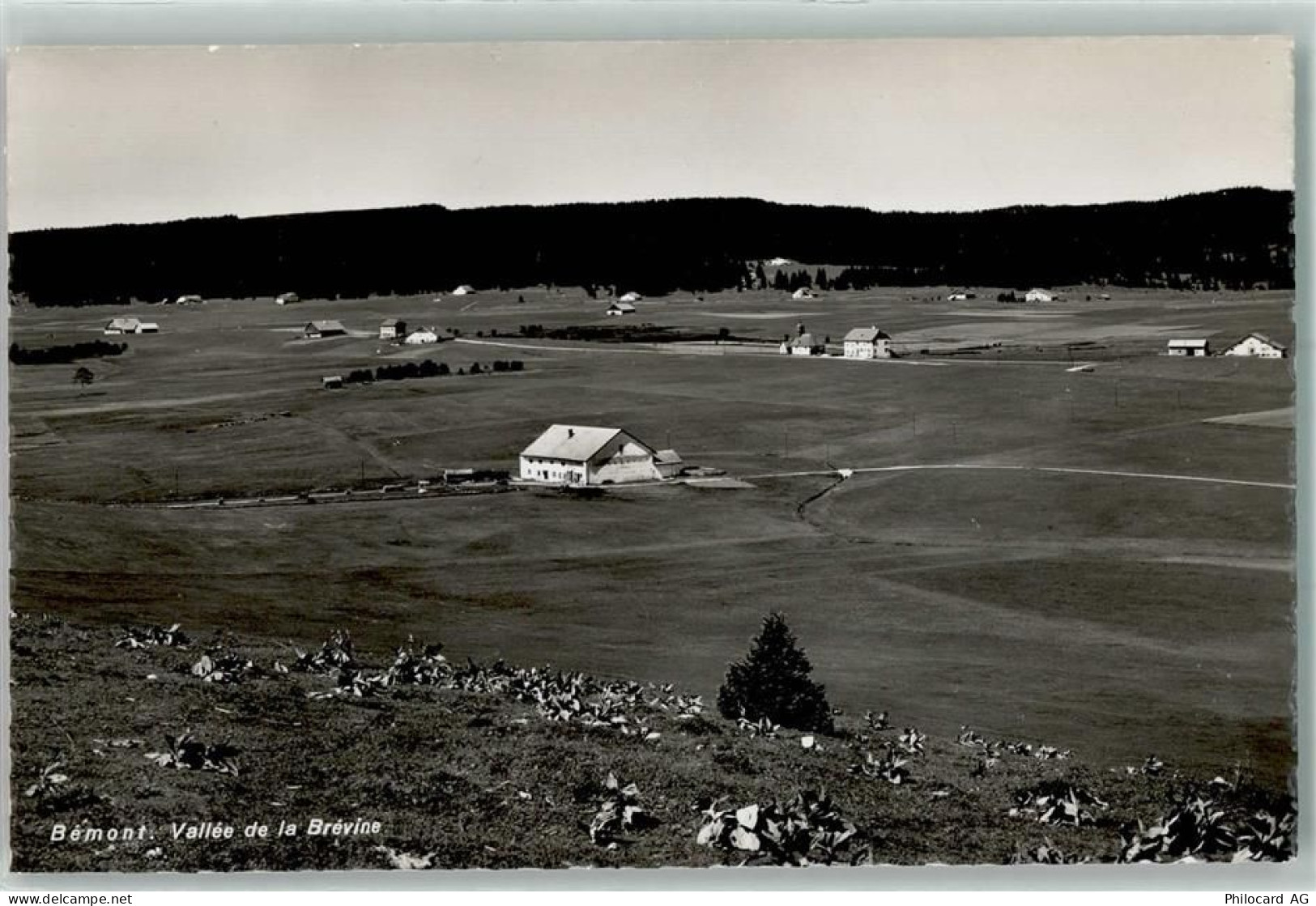 2406 La Brévine Foto AK Bemont Vallee - 10586748