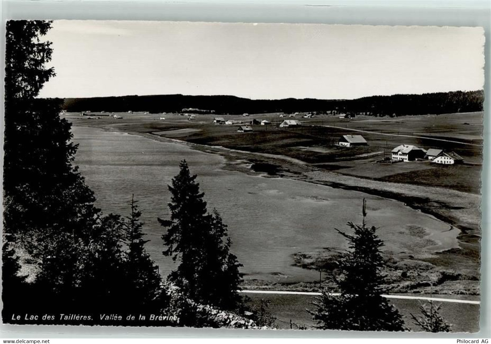 2406 La Brévine Foto AK Le Lac des Tailleres - 10586750