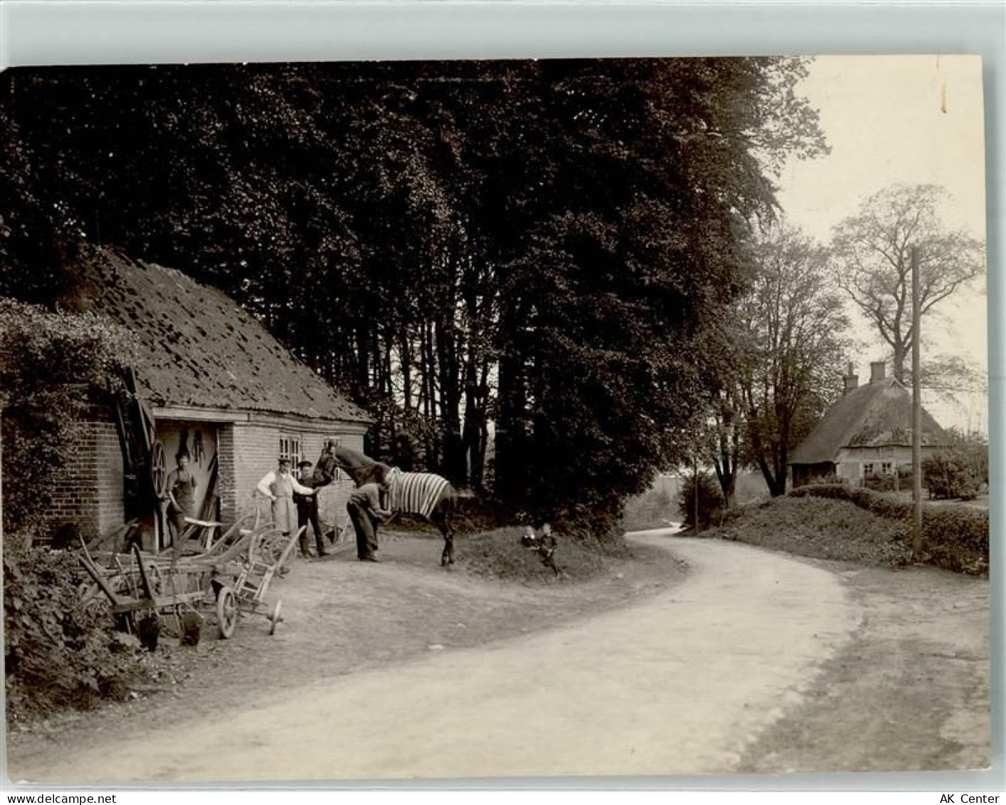 24340 W2330 Eckernförde Privatfoto KEINE AK Pferd Landwirtschaft Ort han... - 13972579