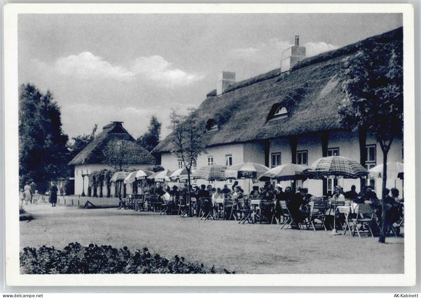 24534 W2350 Neumünster , Holst - Restaurant im Tiergarten - 51054573