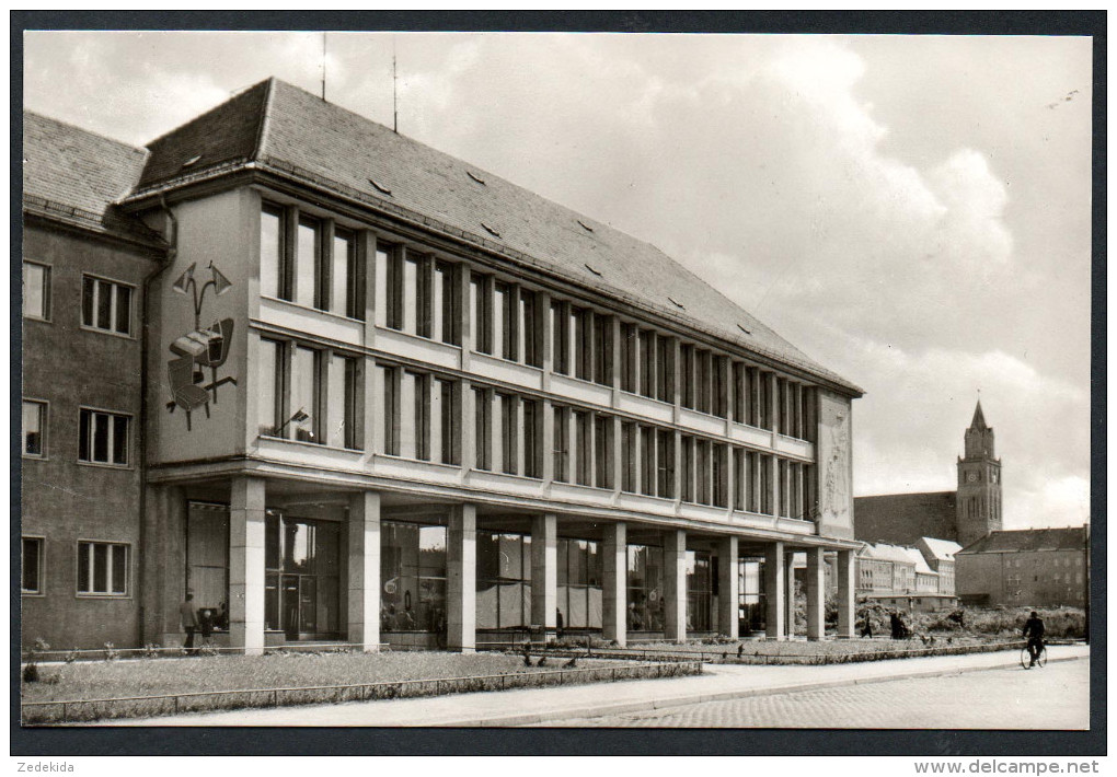 2481 - alte Foto Ansichtskarte - Pasewalk HO Kaufhaus Warenhaus - n. gel TOP