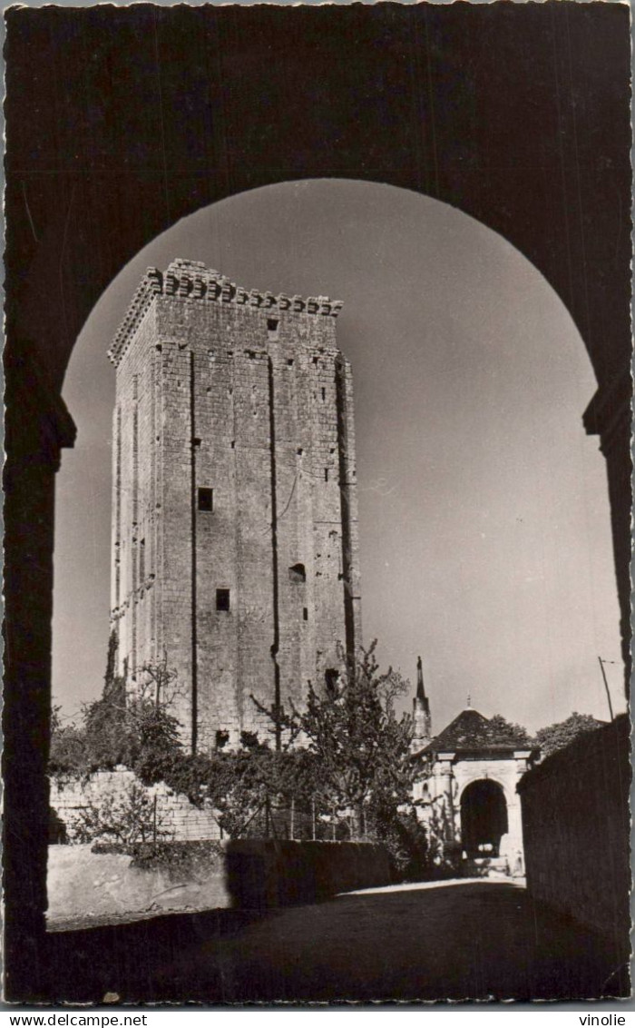 25-4878 : LE GRAND-PRESSIGNY.  LE CHATEAU