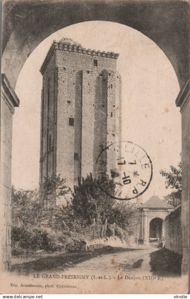 25-4879 : LE GRAND-PRESSIGNY.  LE CHATEAU