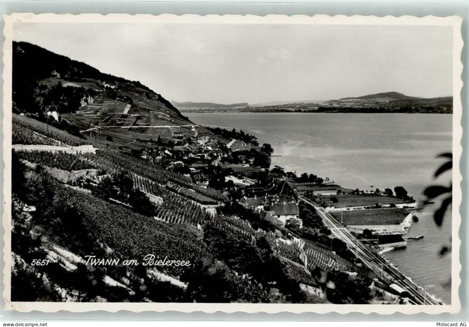 2513 Twann - Bielersee Rebberg - 10604808