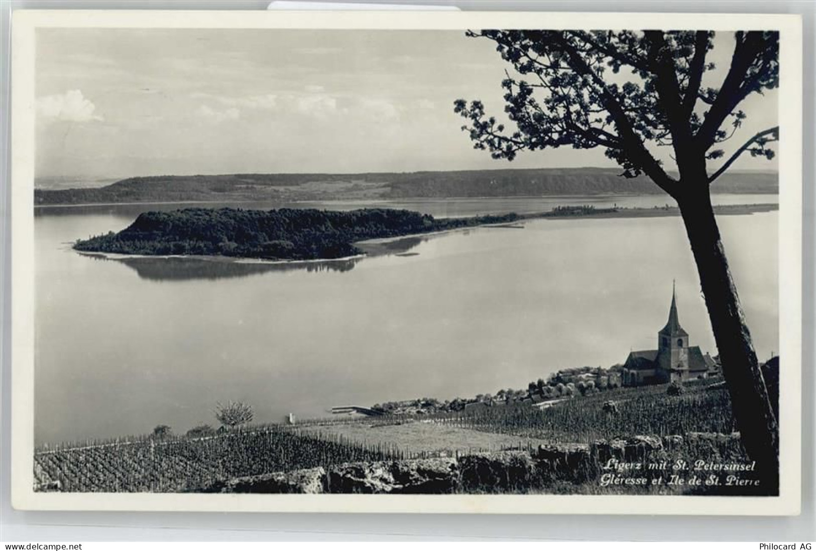 2514 Ligerz Gléresse - mit Str. Petersinsel - 51211590