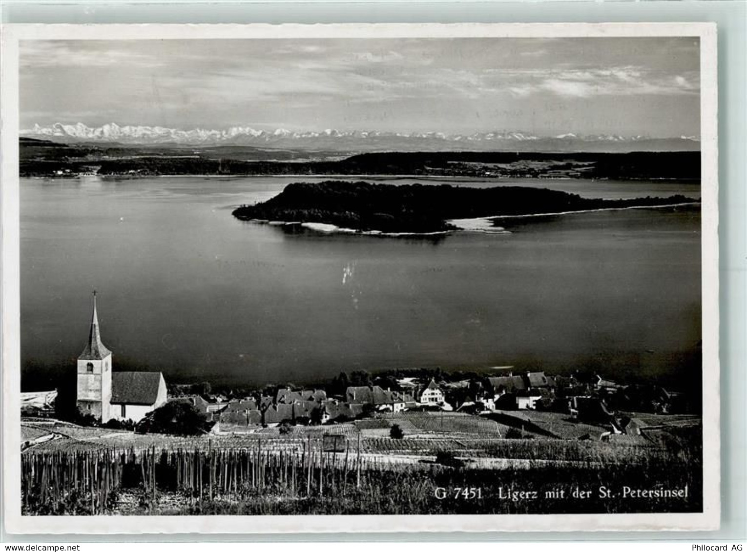 2514 Ligerz Gléresse - St. Petersinsel - 10304570
