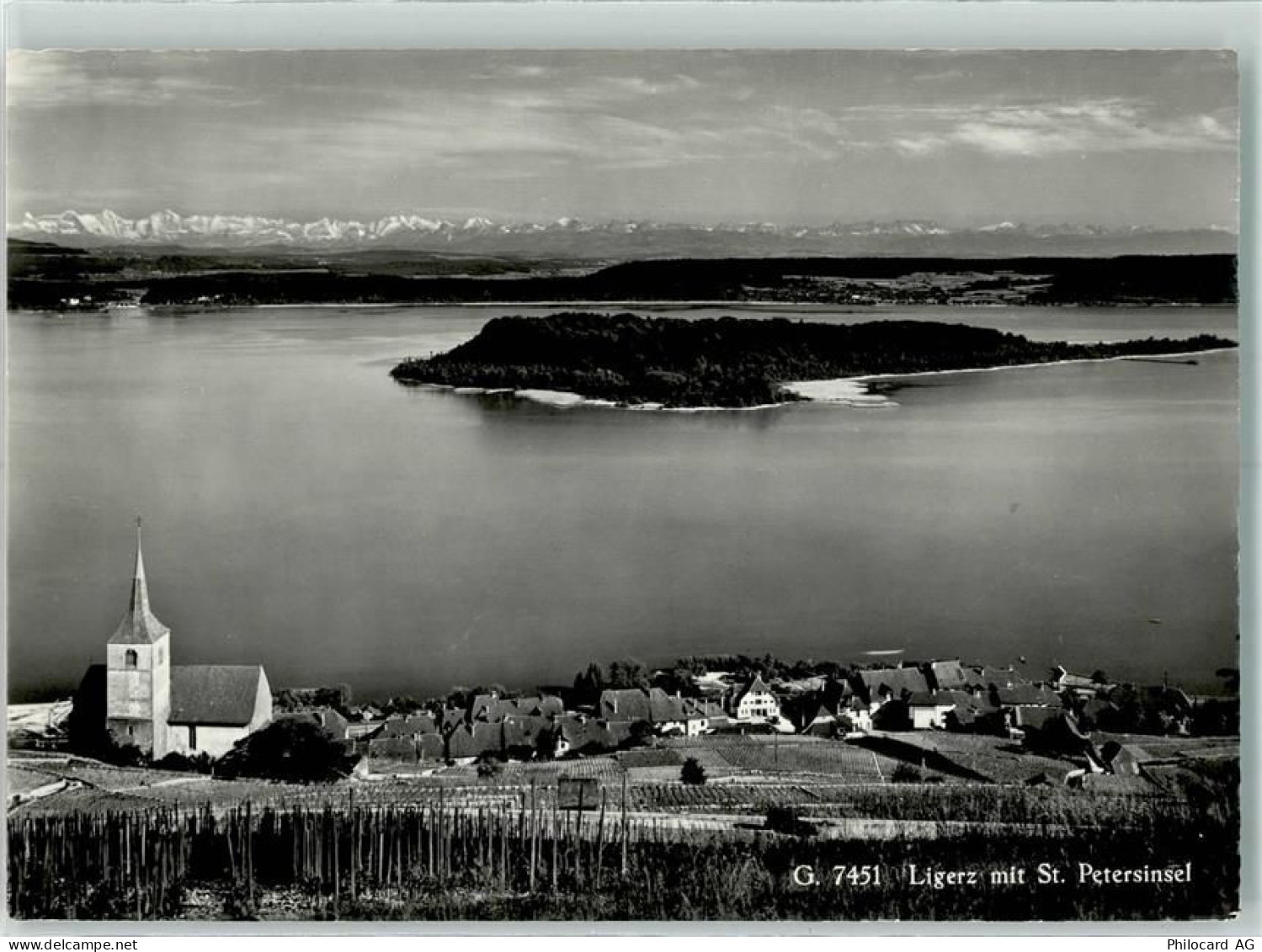 2514 Ligerz Gléresse - St. Petersinsel - 10304571