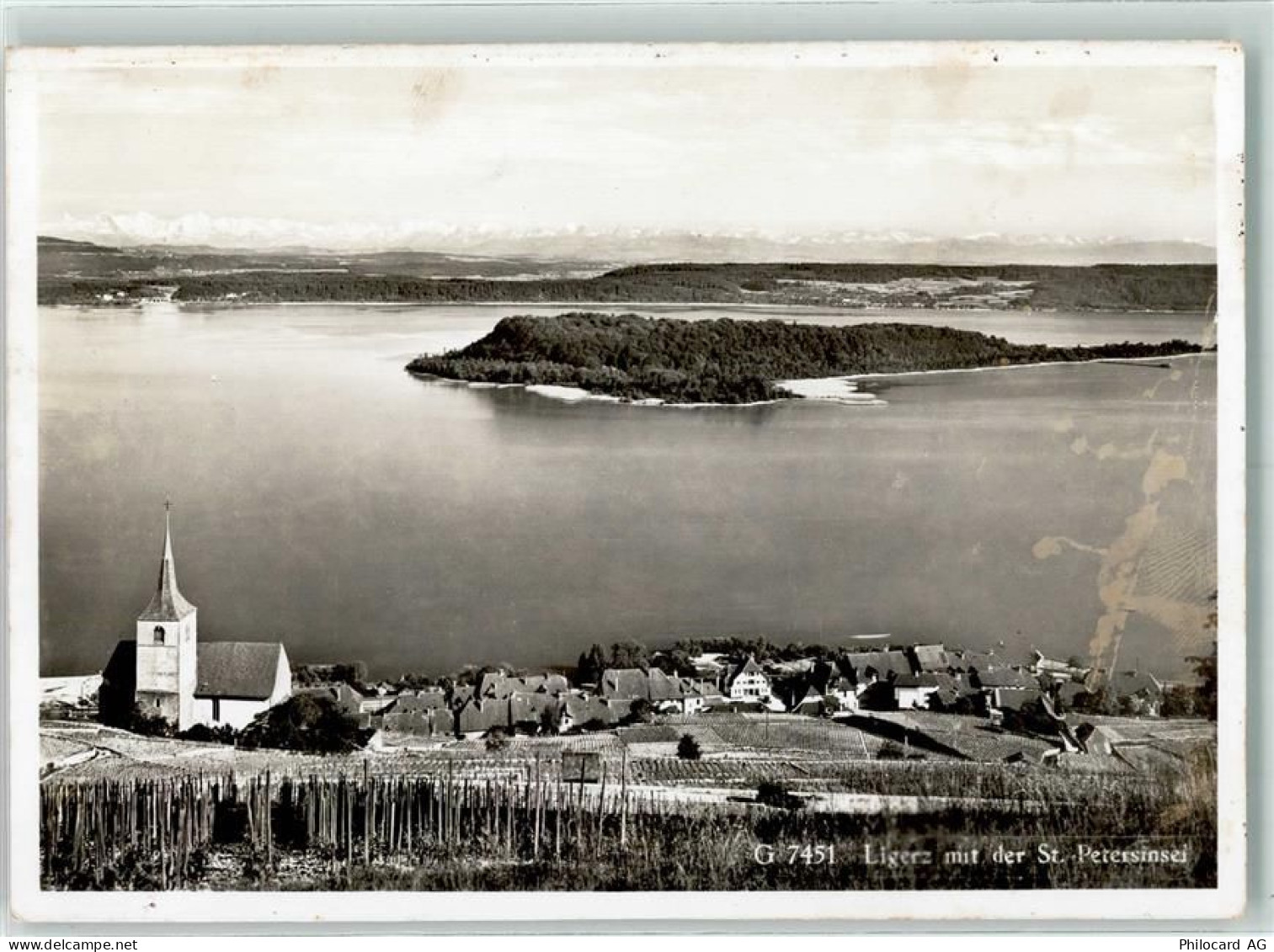 2514 Ligerz Gléresse - St. Petersinsel - 10304572