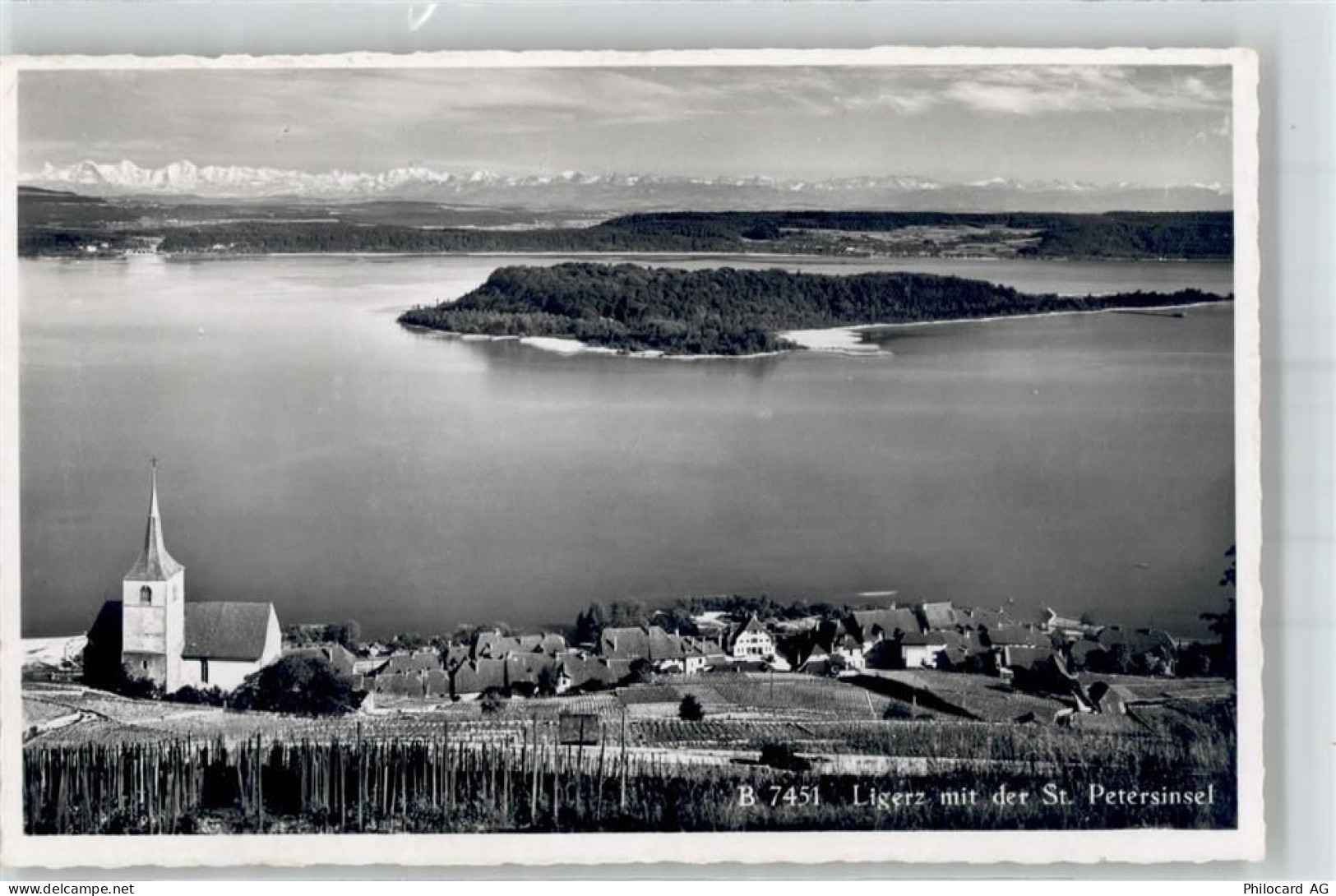 2514 Ligerz Gléresse - St.Petersinsel - 51716210