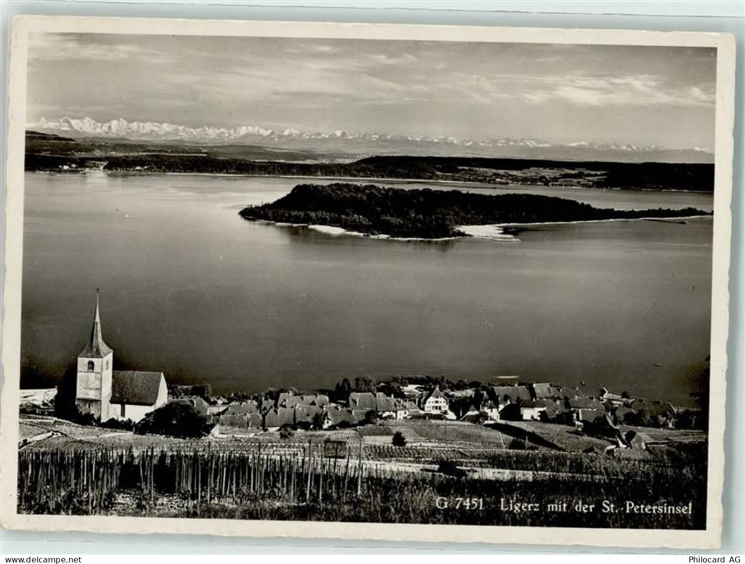 2514 Ligerz Gléresse - St Petersinsel Fliegeraufnahme - 10598708