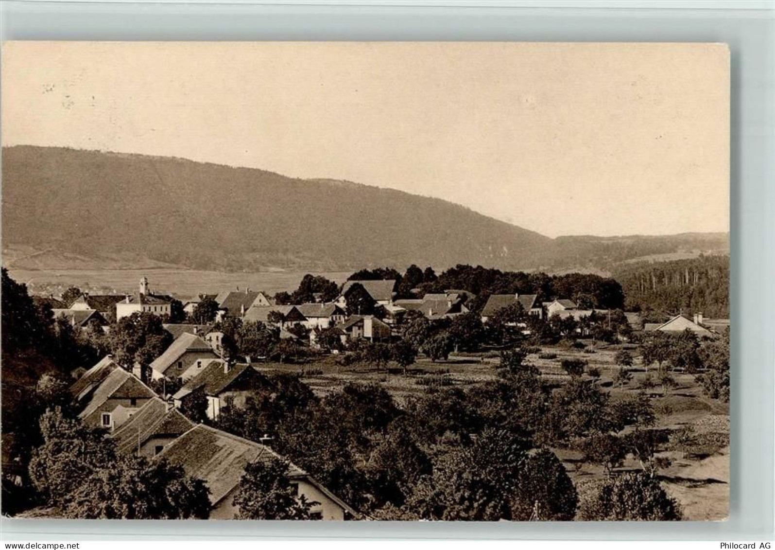 2515 Prêles - 13113644