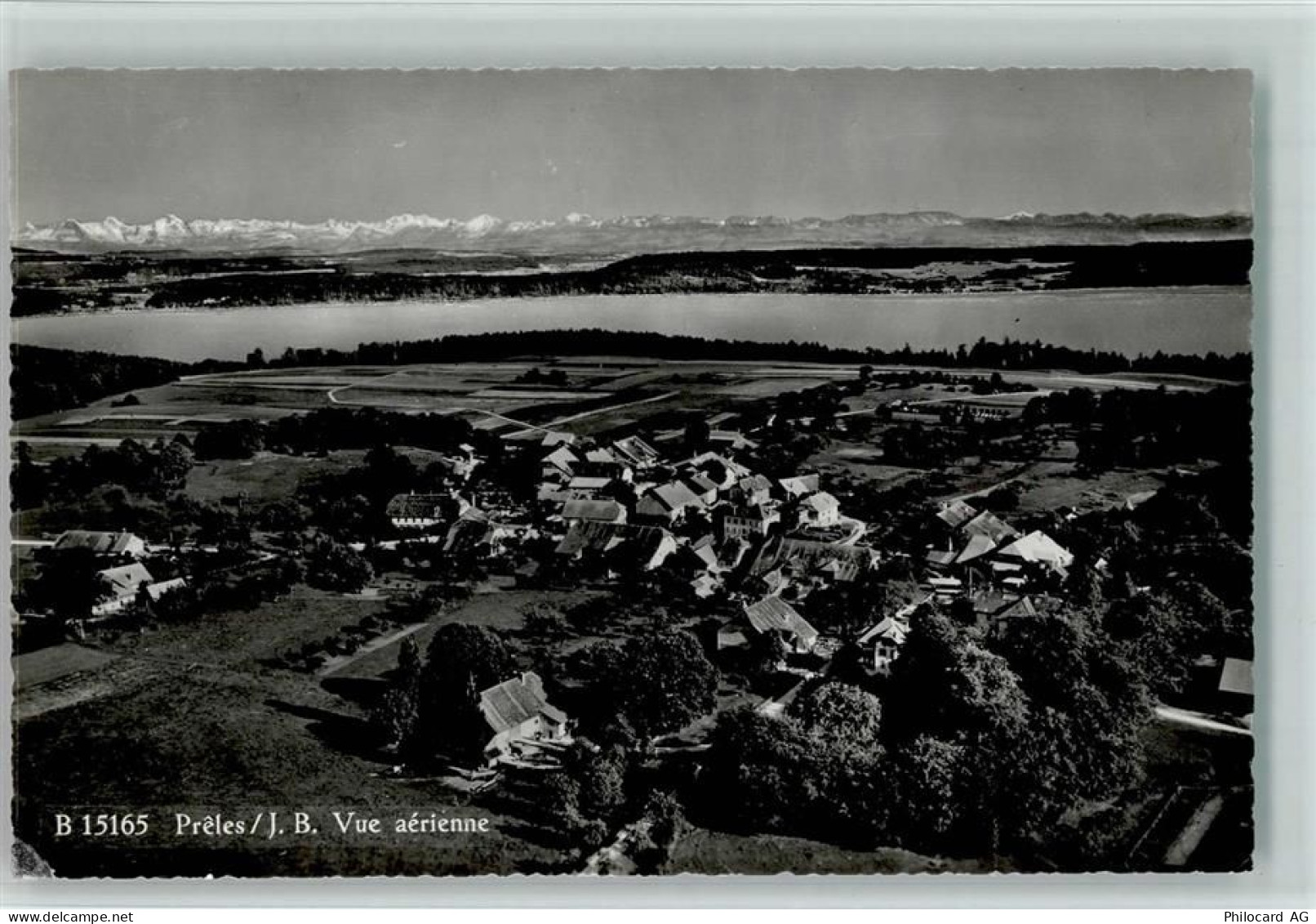 2515 Prêles - 13113857