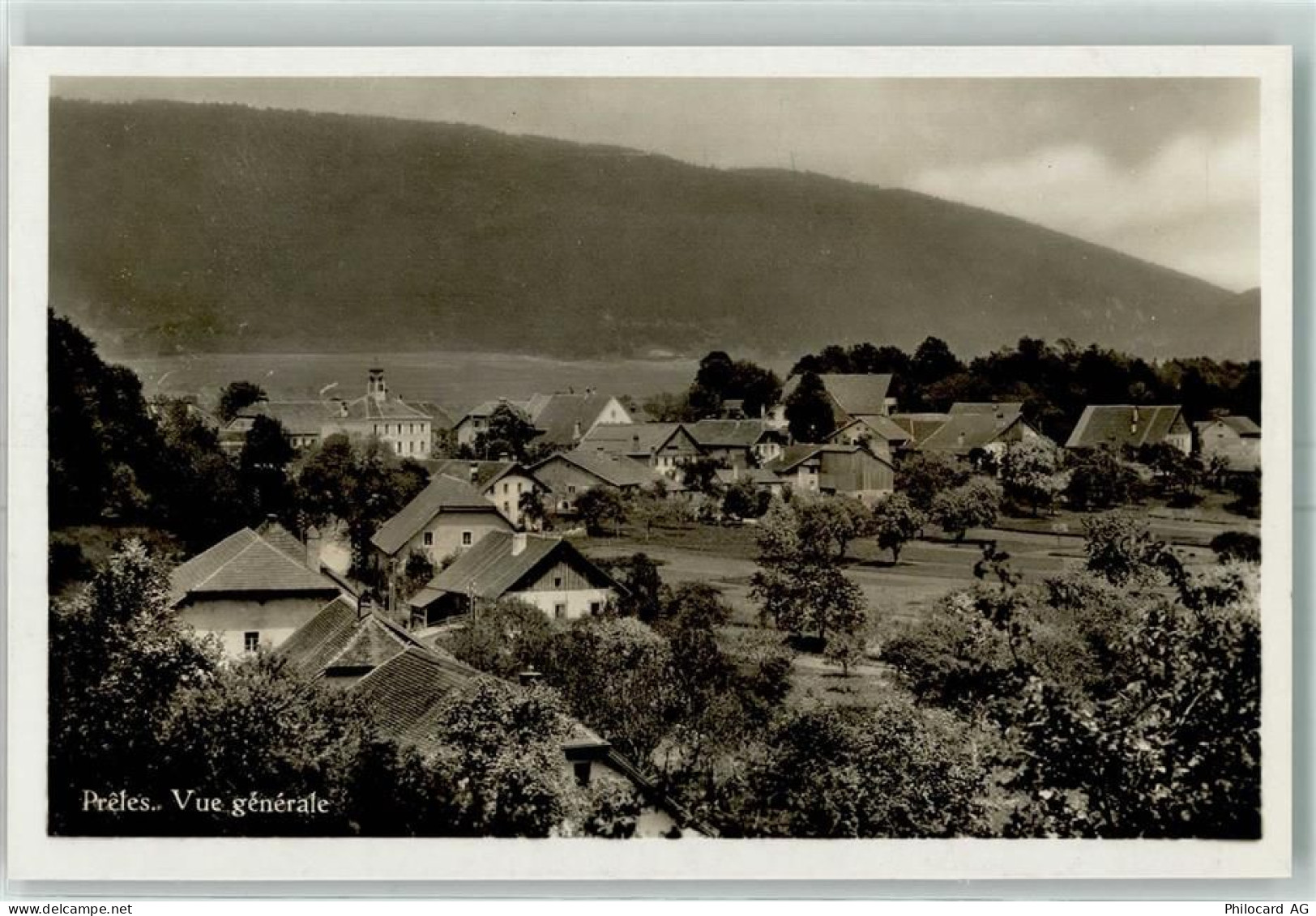 2515 Prêles - 13149681