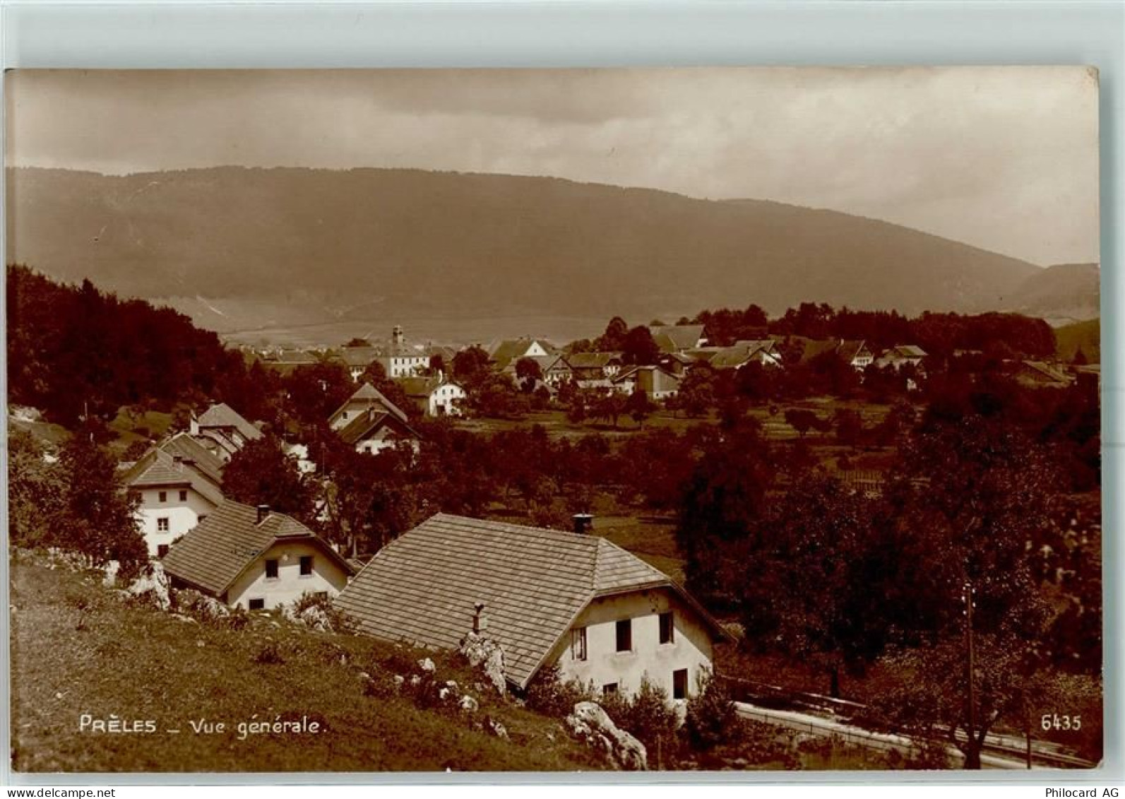 2515 Prêles - 13149686