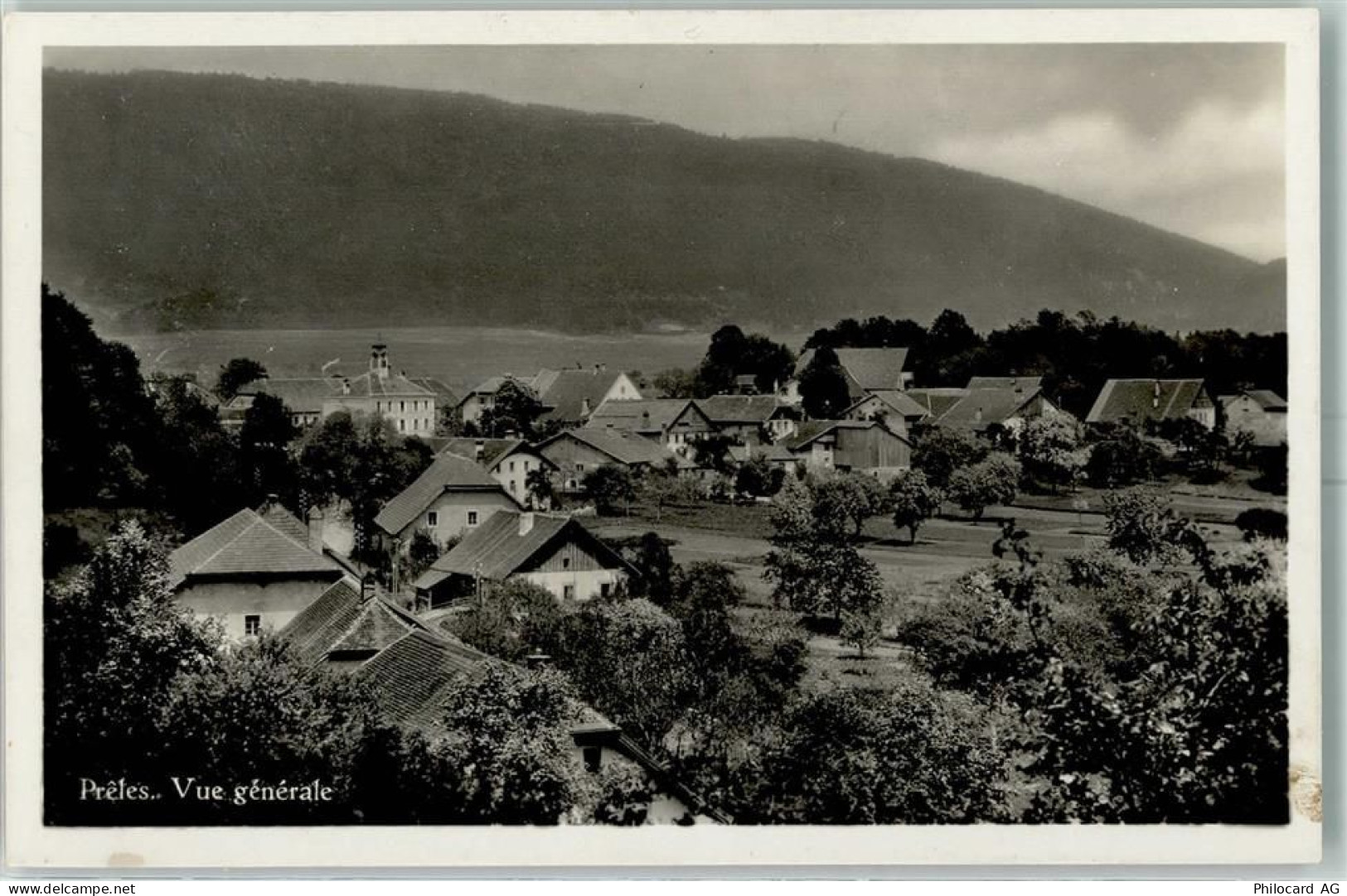 2515 Prêles - 13149760