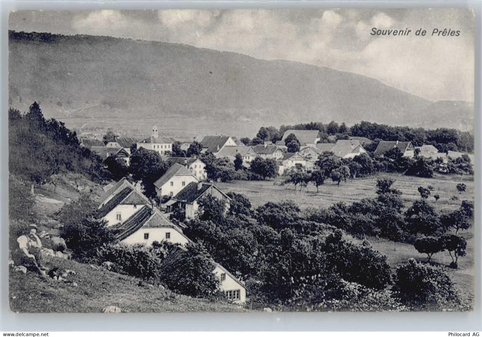 2515 Prêles - 50587807