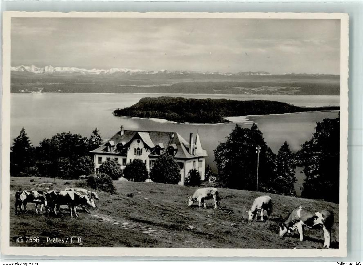 2515 Prêles - Kühe Hotel Pension de lOurs - 13149513