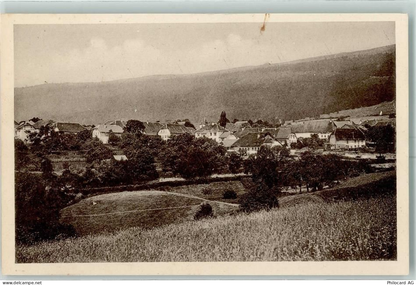 2518 Nods - 13149334