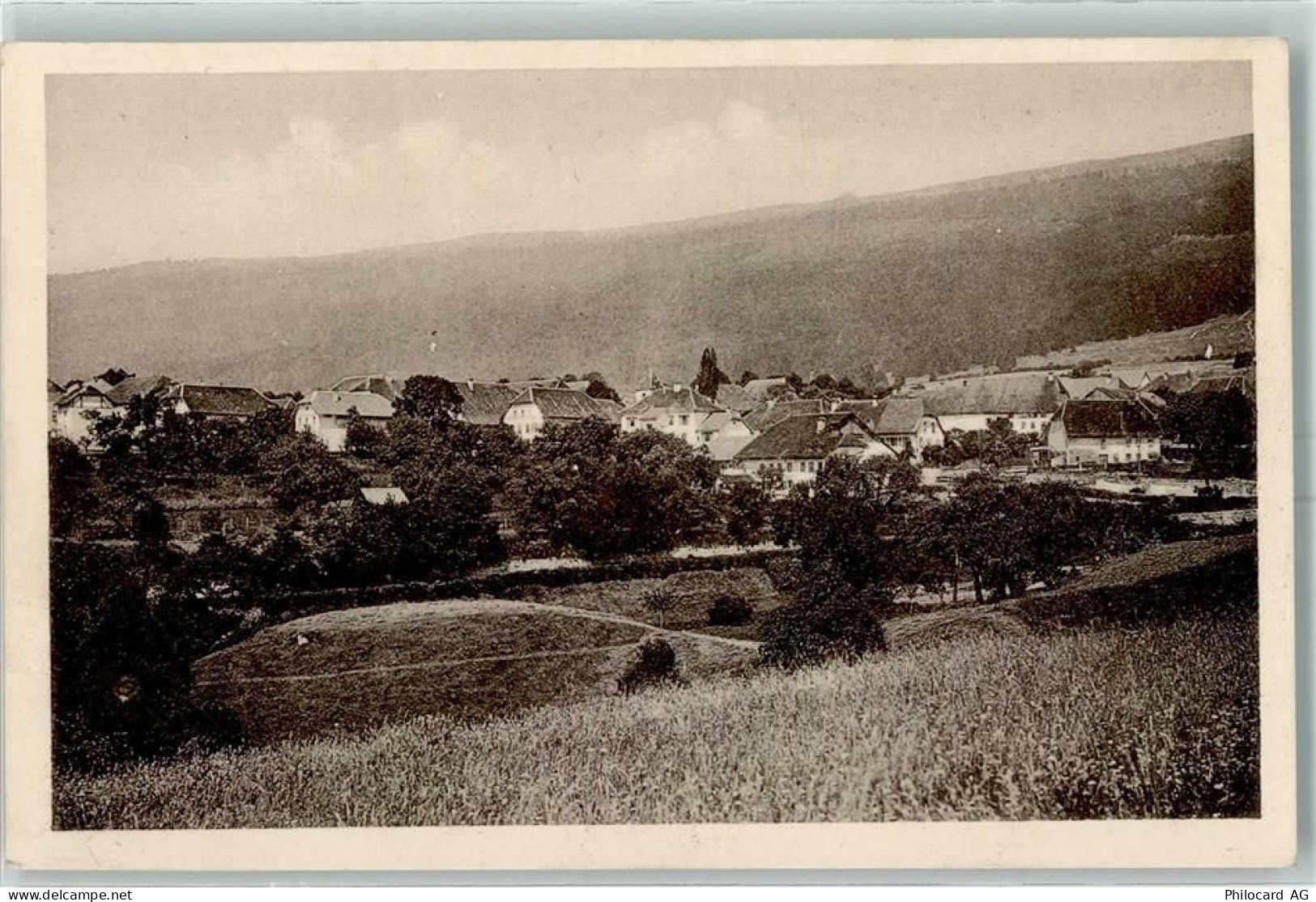 2518 Nods - 13149336