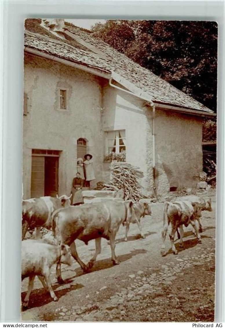 2518 Nods 1912 Foto AK Kühe werden durch den Ort getrieben AK - 13105683
