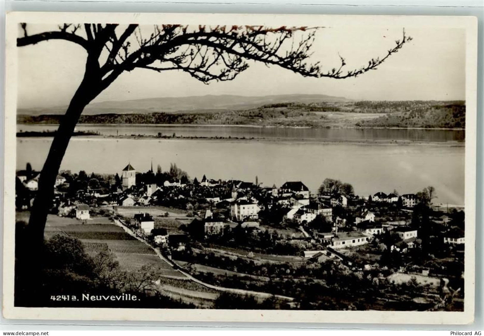 2520 La Neuveville - 10601372