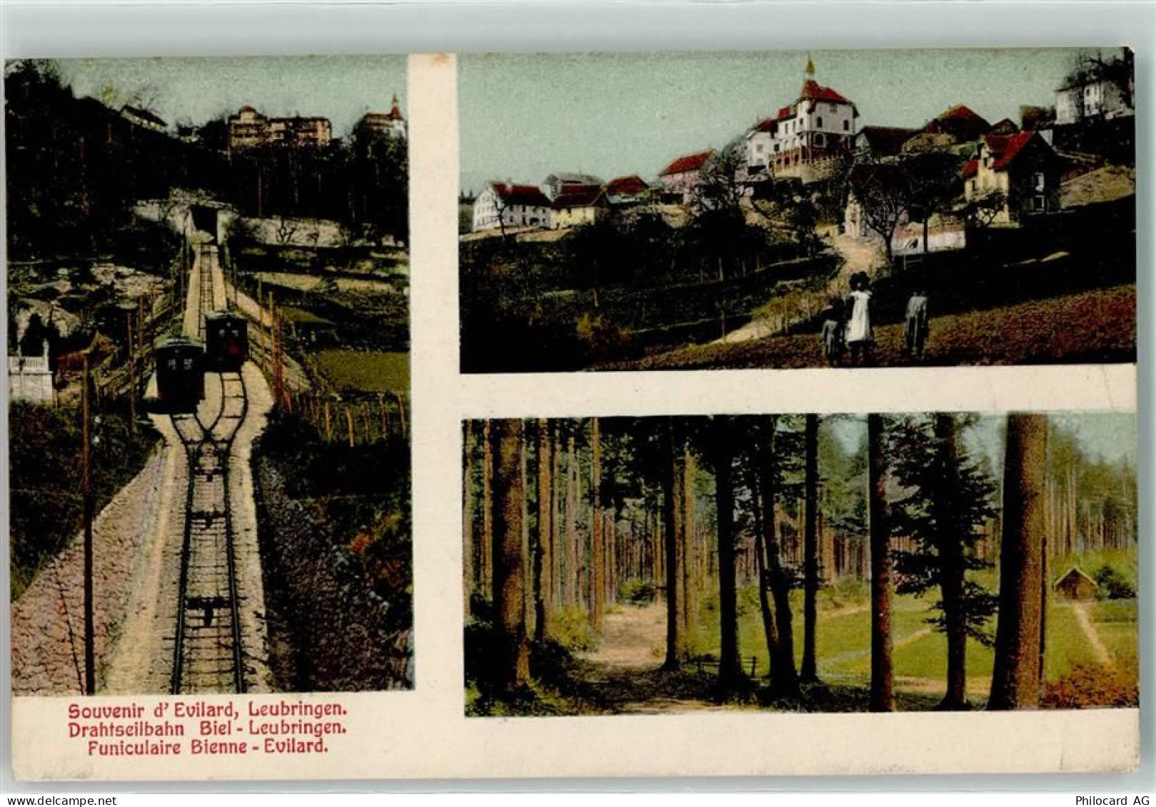 2533 Leubringen Evilard 1912 - Drahtseilbahn Biel- Leubringen - 13251856