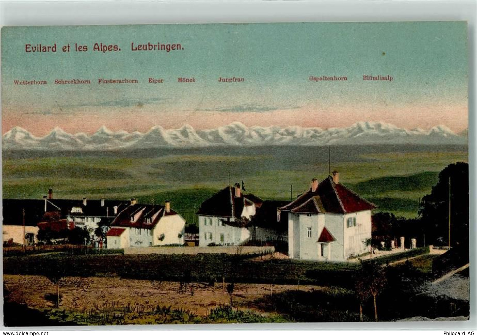 2533 Leubringen Evilard 1912 - Wetterhorn Schreckhorn Finsterhorn Eiger ... - 13251860