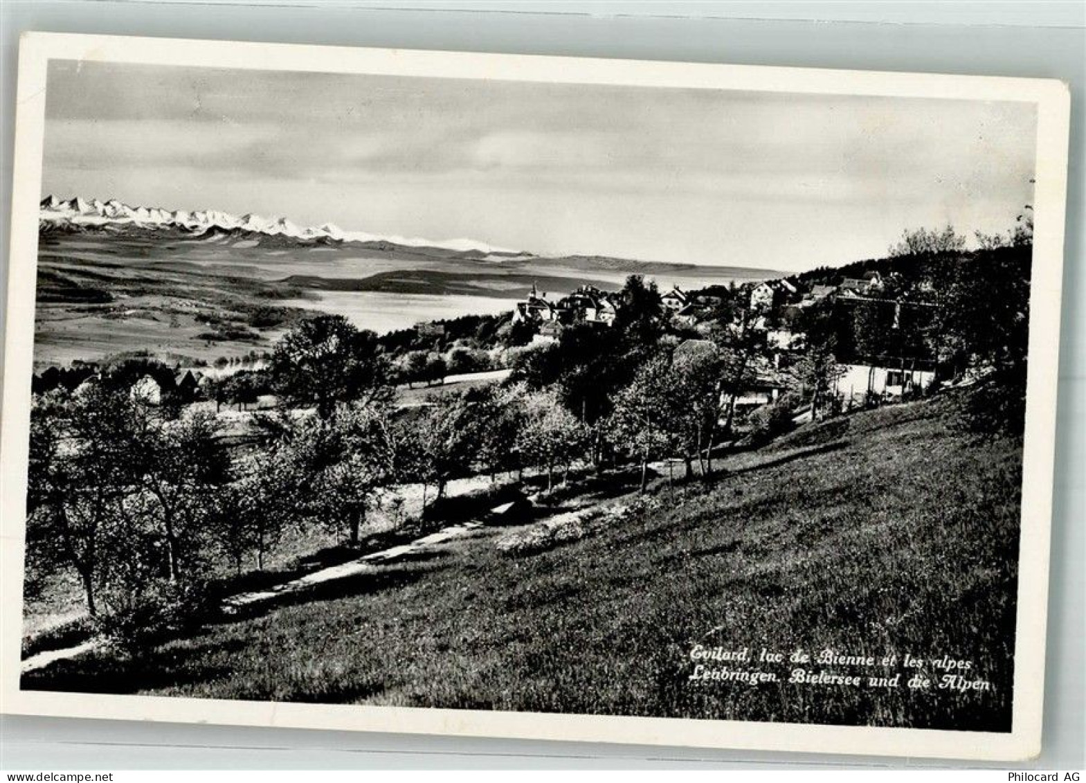 2533 Leubringen Evilard 1943 Foto AK Bielersee Alpen - 38211436