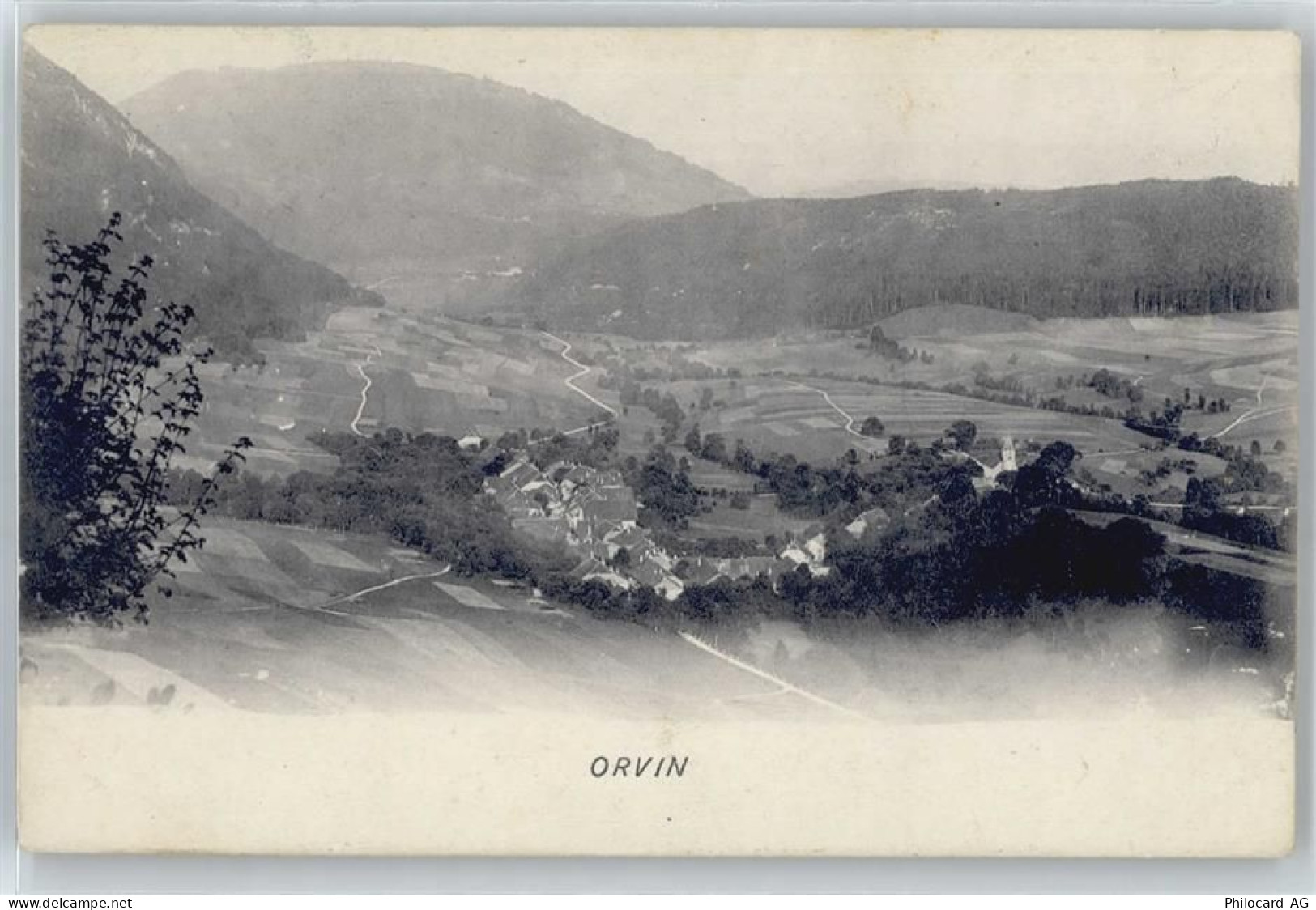 2534 Orvin - 50587808