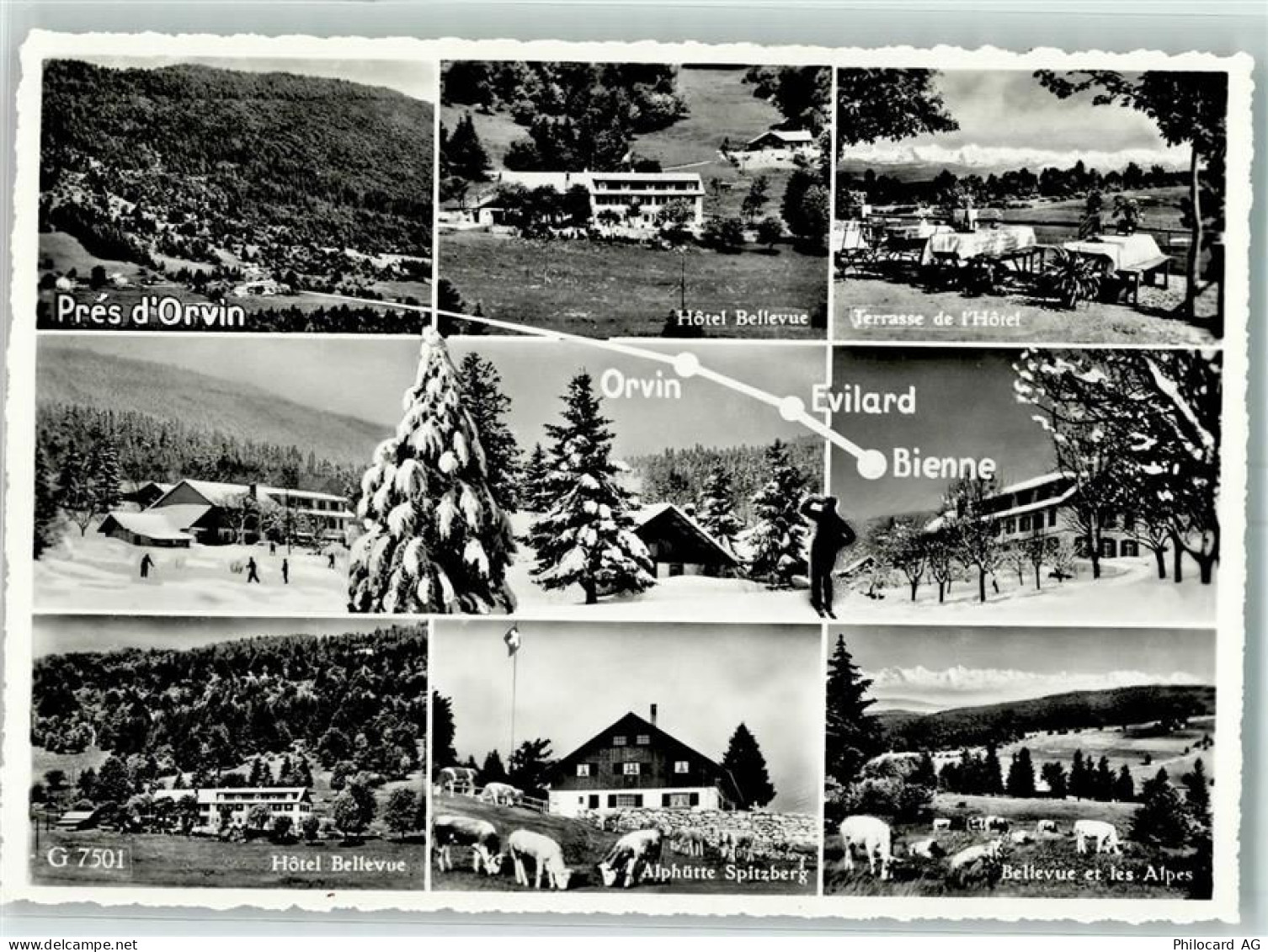 2534 Orvin - Magasin Pension Spitzberg - 10395478