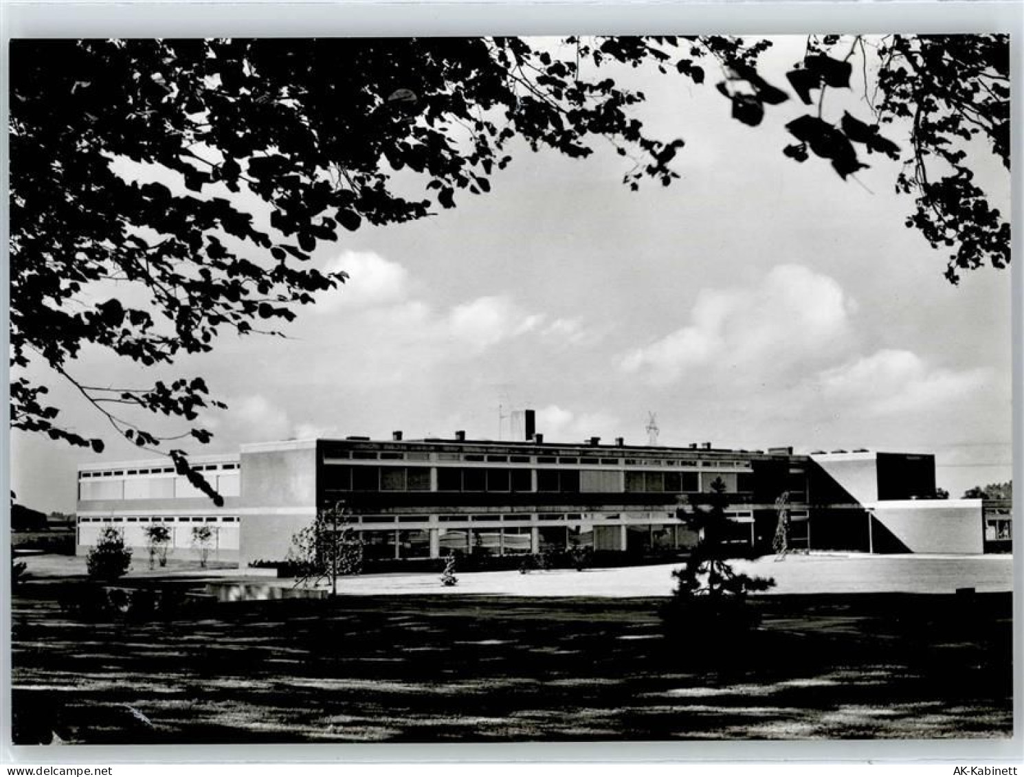 25358 W2203 Horst (Holstein) - Schule - 50962203