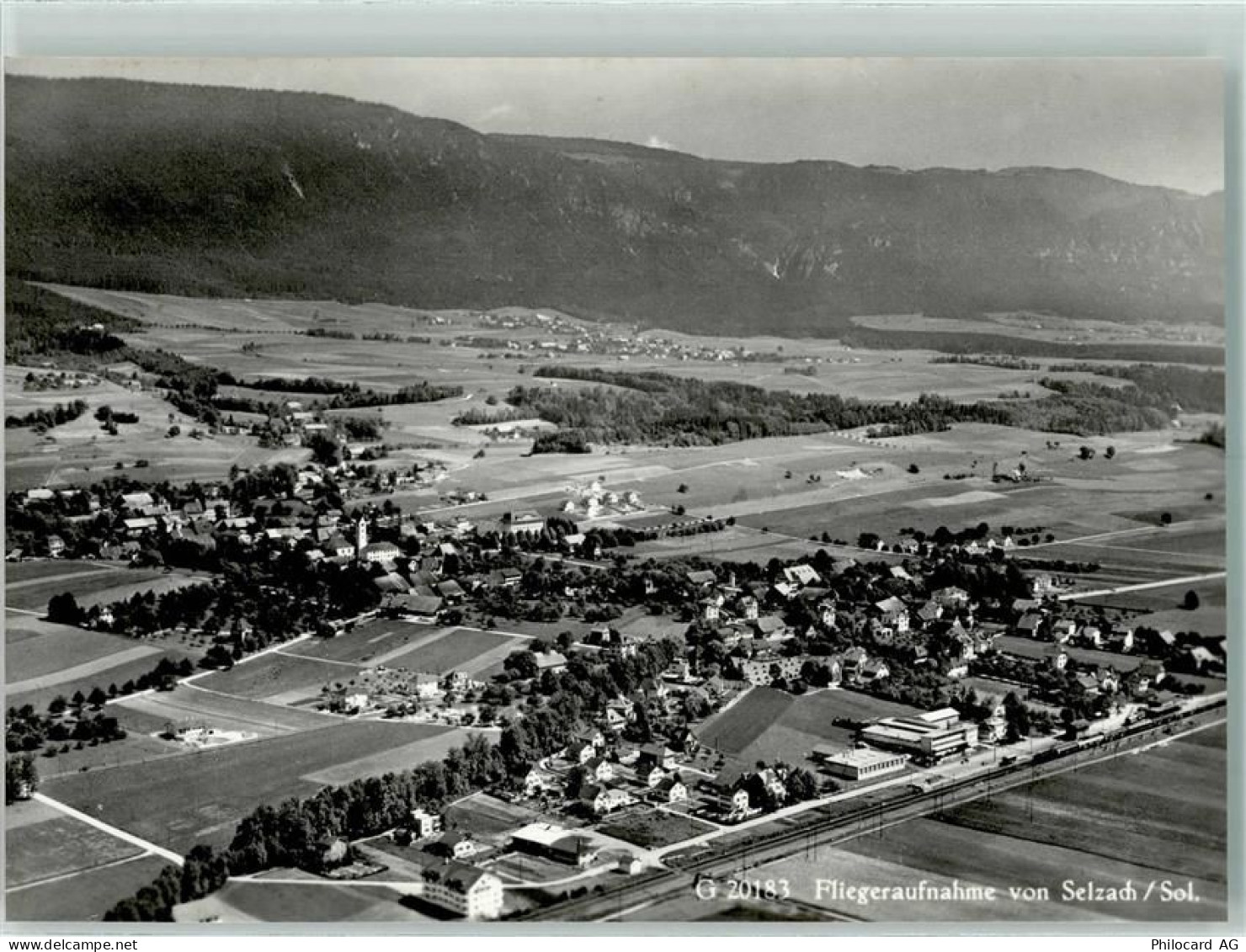 2545 Selzach - Fliegeraufnahme - 13145623