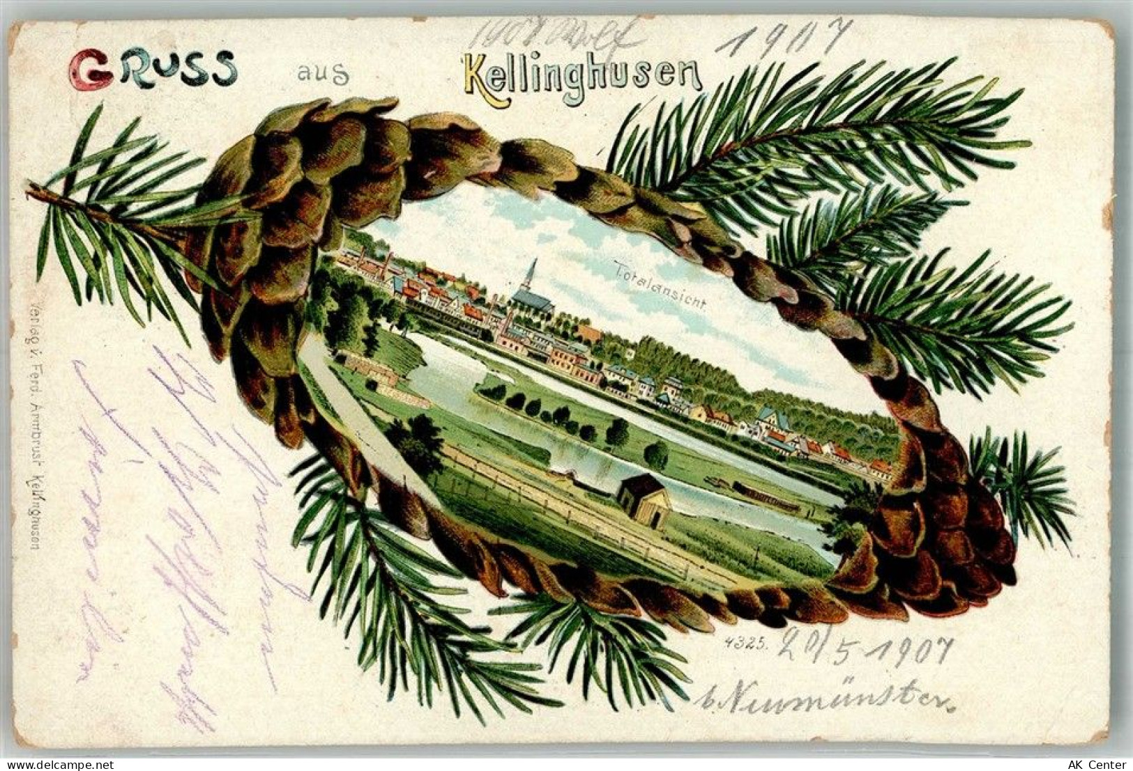 25548 W2217 Kellinghusen 1907 Lithographie Tannenzapfen Kellinghusen - 13668074