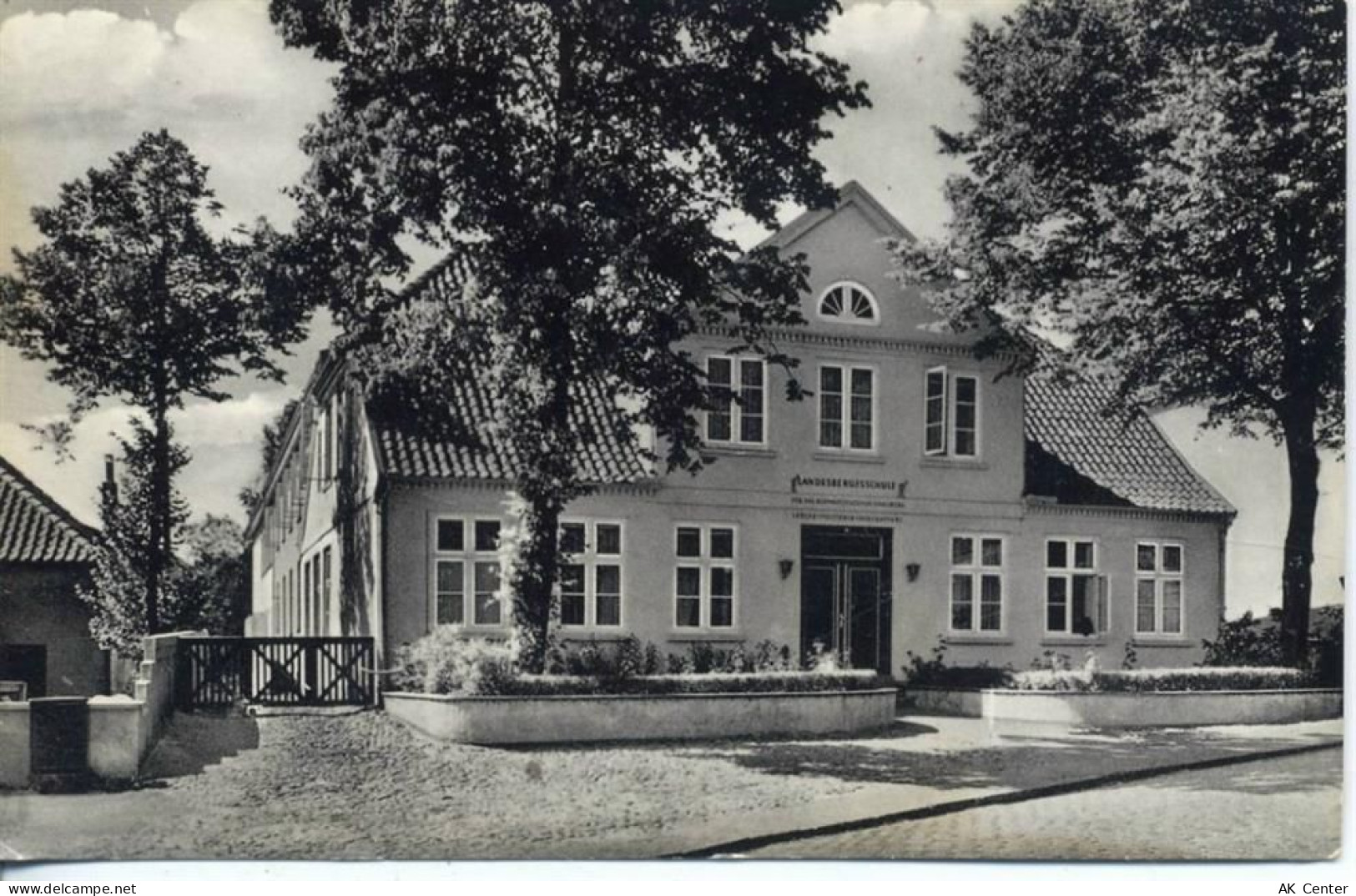 25548 W2217 Kellinghusen um 1950/60 - Kellinghusen: Mittelholstein, Satt... - 20004162