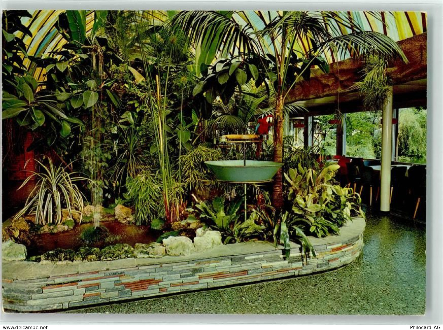 2557 Studen BE - Cafe Florida Papagei - 39494166