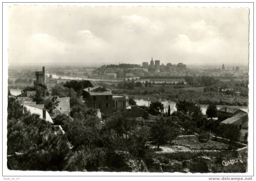 {25644} 84 Vaucluse Avignon Palais des Papes , Pont Saint Bénezet. " en baisse "