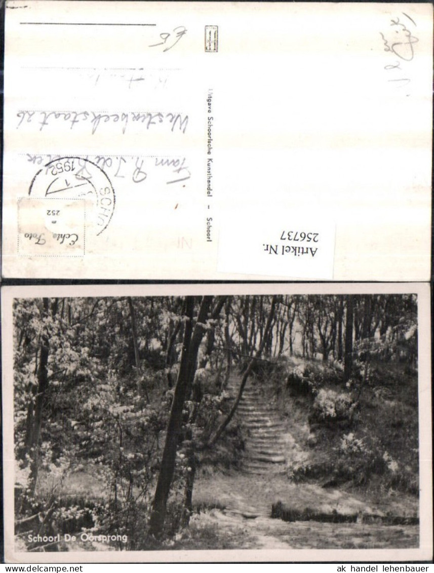 256737,Schoorl de Oorsprong Partie Wald