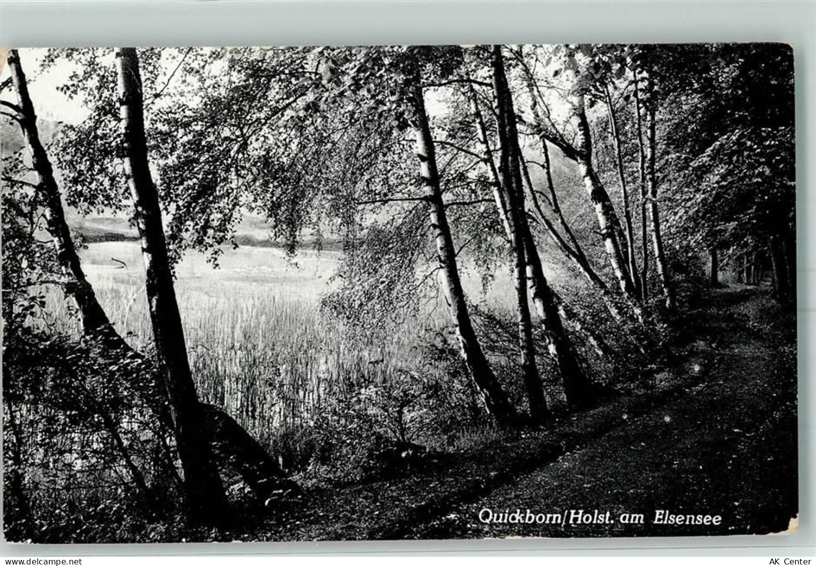 25693 W2224 Quickborn , Dithm - Der Elsensee - 10451846