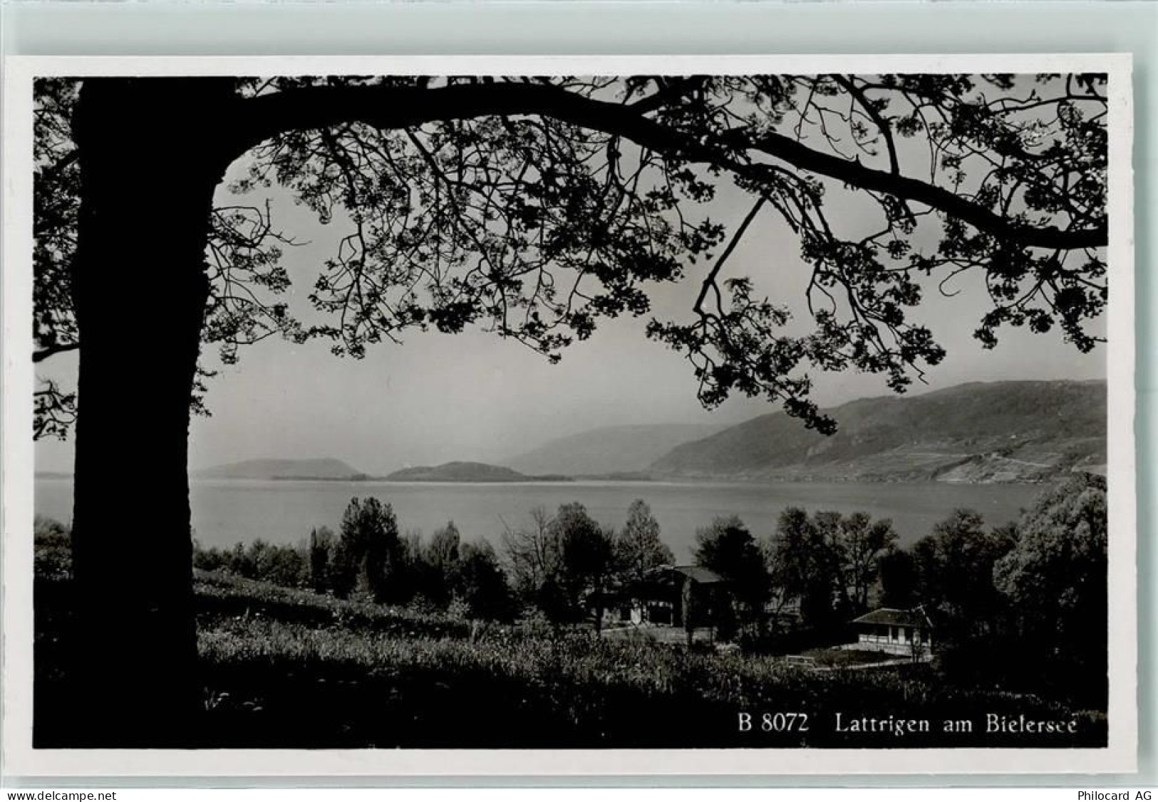 2572 Sutz-Lattrigen - Bielersee - 13137932