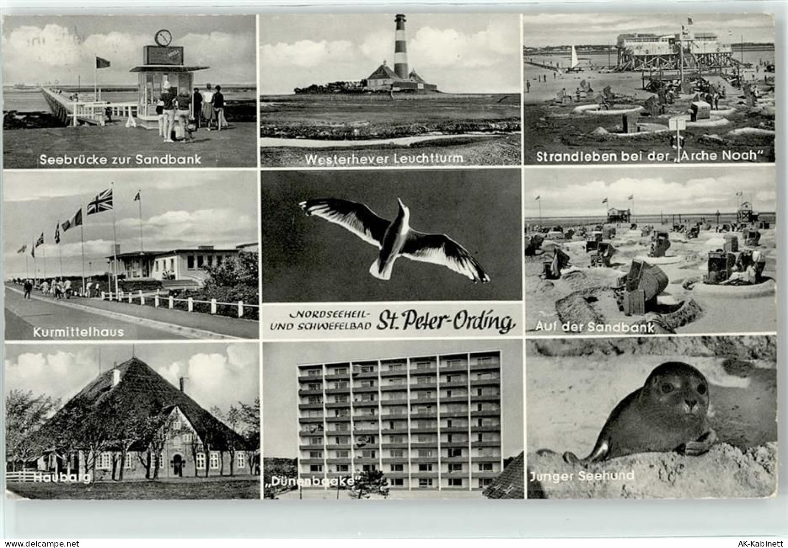 25826 W2252 St. Peter-Ording - Seebrücke Leuchtturm Seehund - 51761464
