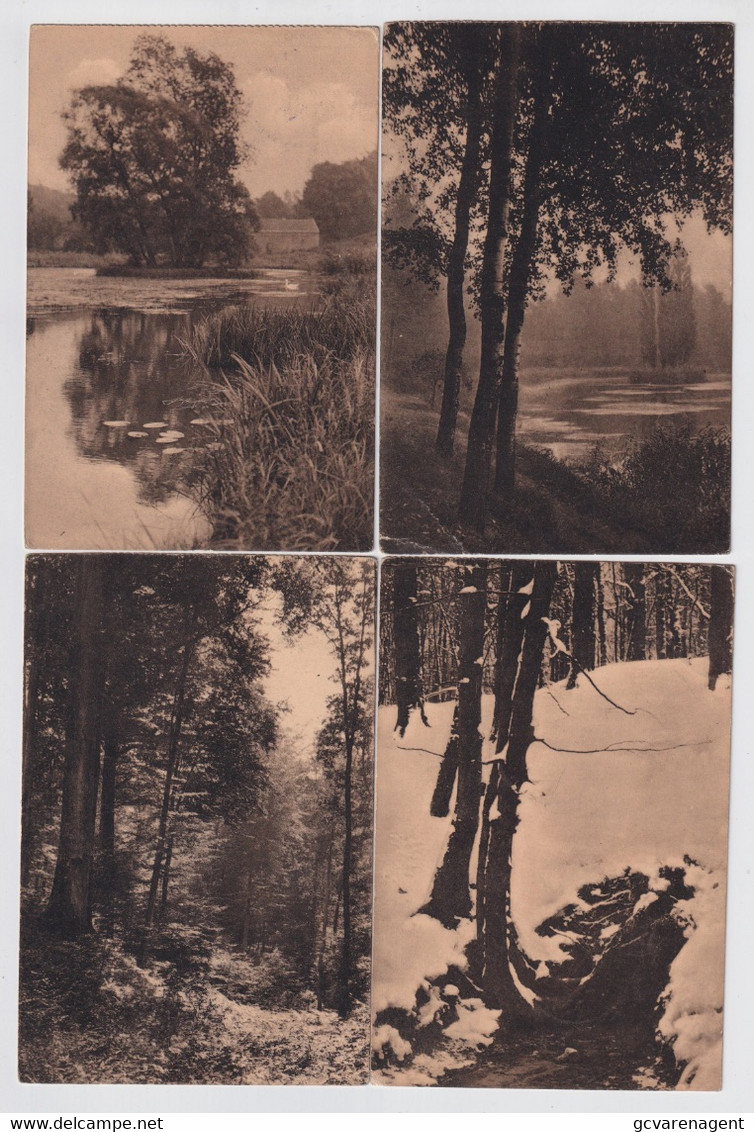 26 KAARTEN BOSSEN OMGEVING BRUSSEL - ALLEN NAAR 1 EN DEZELFDE PERSOON GEZONDEN IN EGYTE CAIRO ZIE AFBEELDINGEN