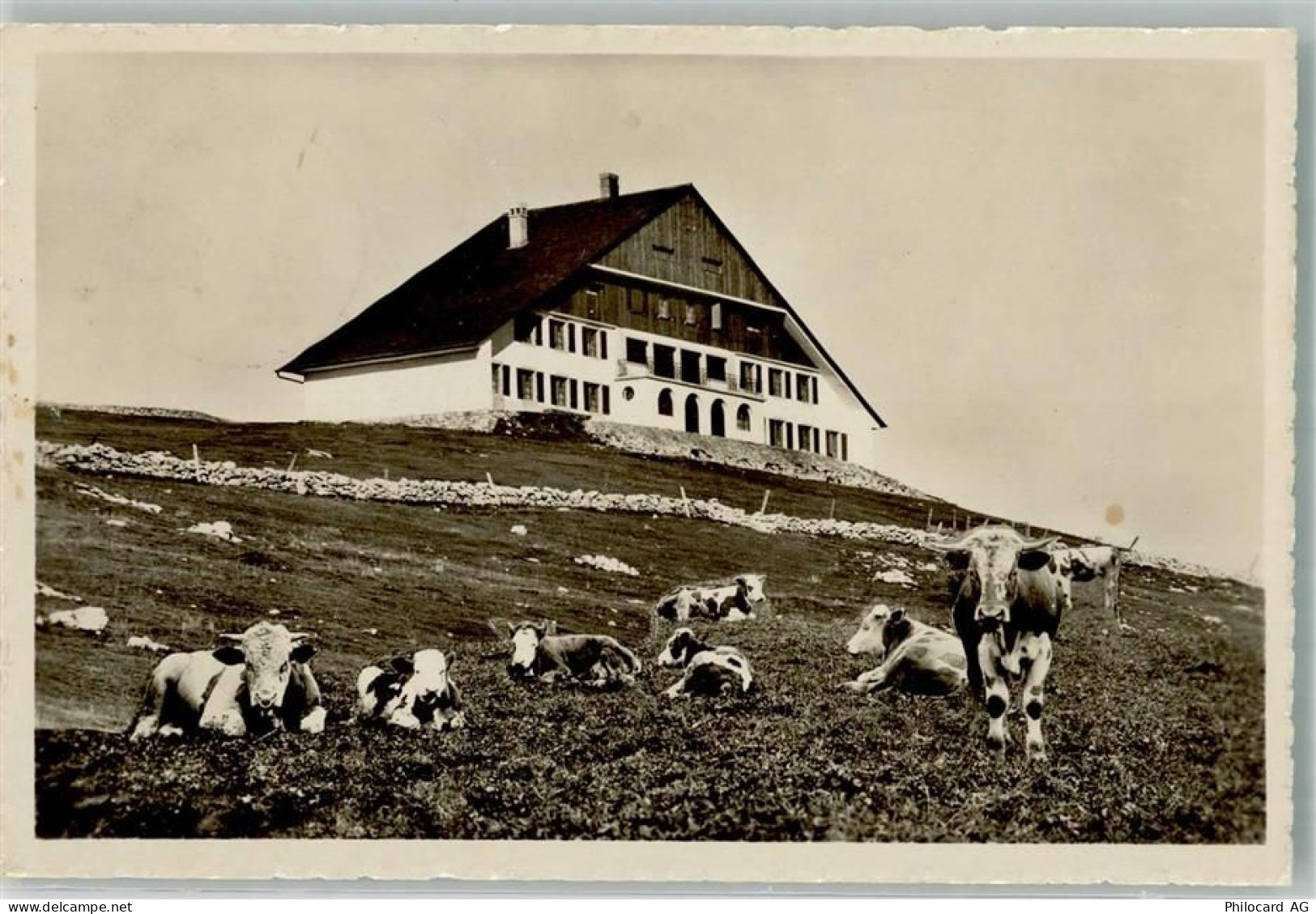 2610 St-Imier Saint-Imier Foto AK Hotel Cahsseral Kühe - 38021989