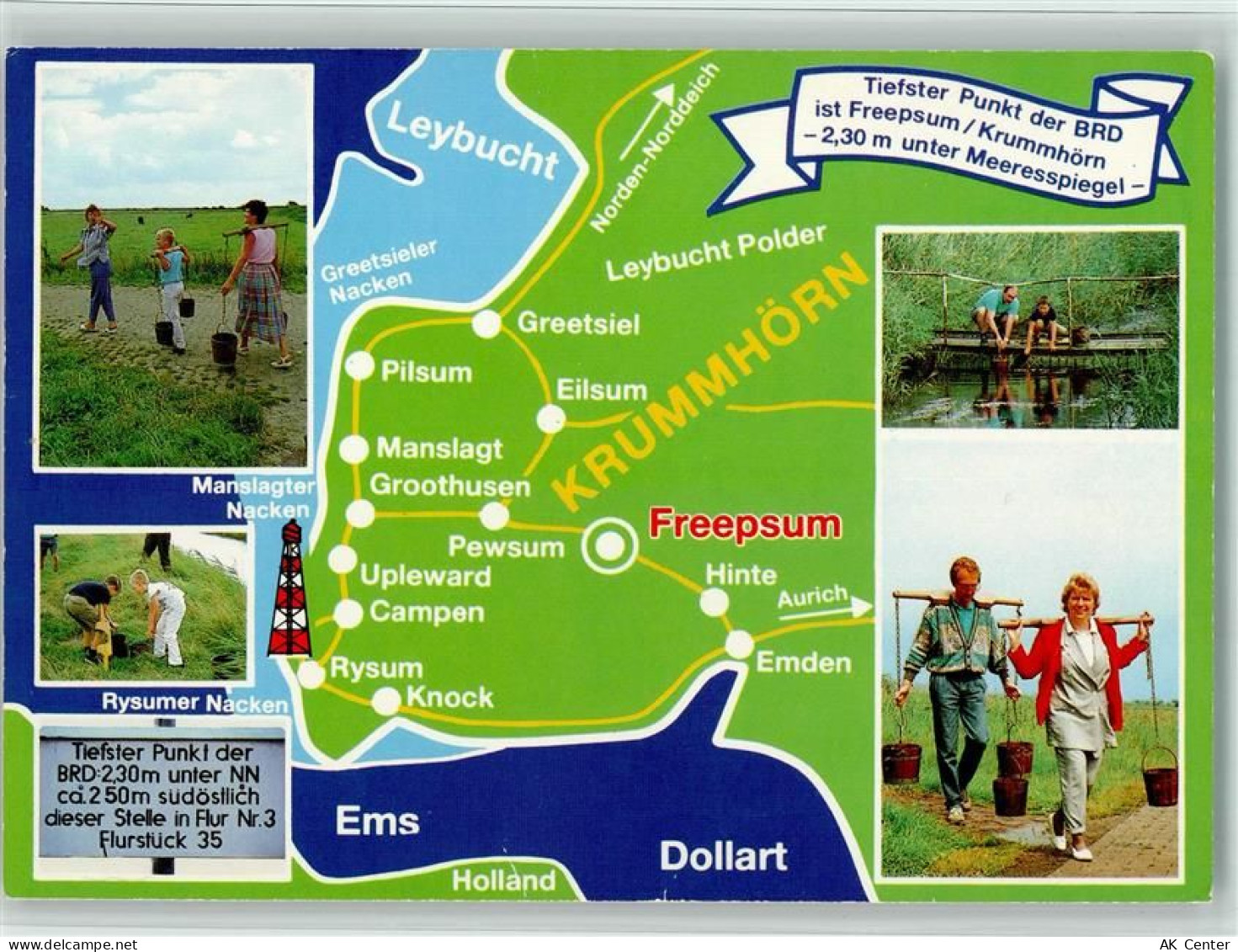 26736 W2974 Krummhörn - Rysumer Nacken Manslagter Nacken - 10564620