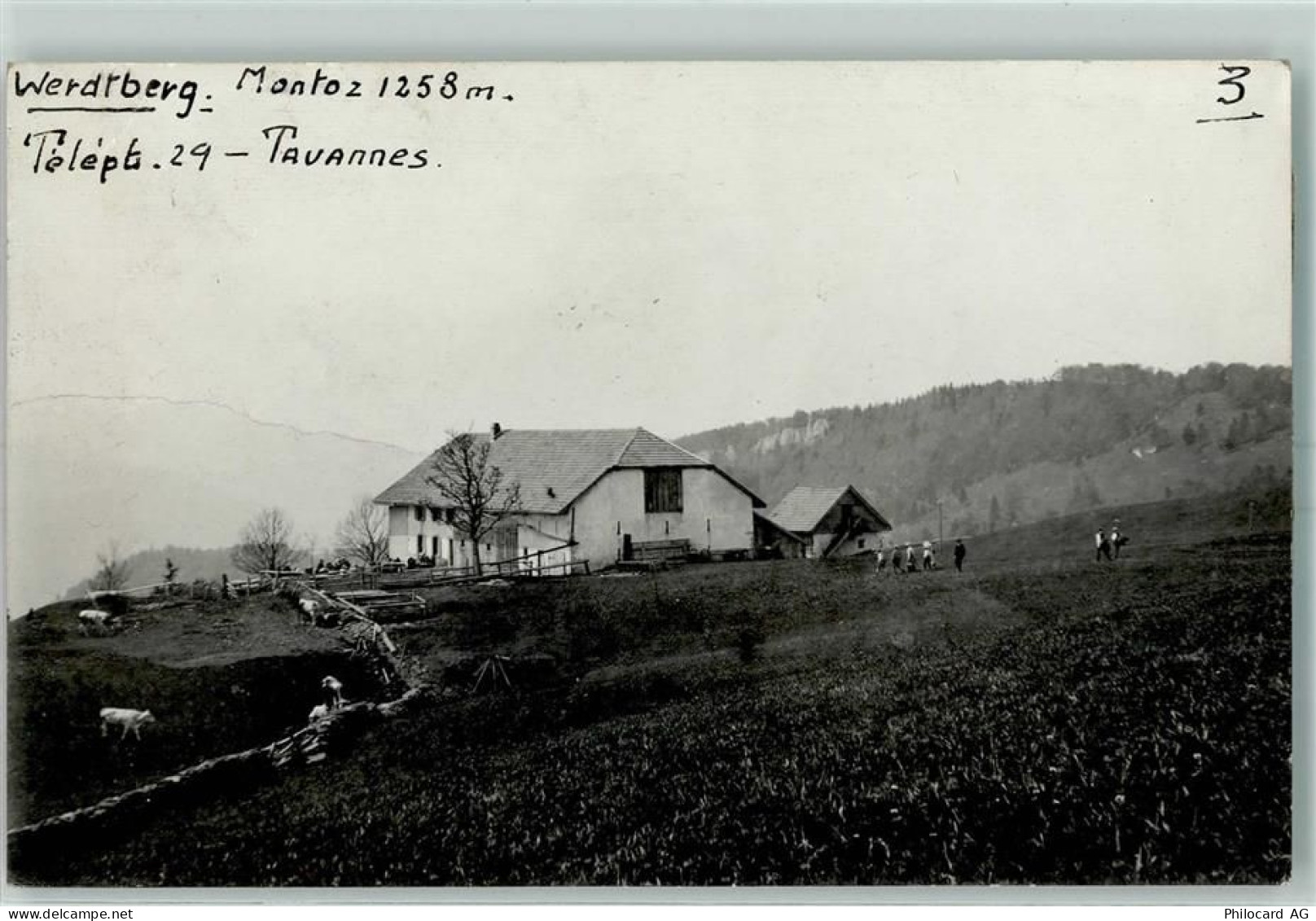 2732 Reconvilier Foto AK Werdtberg - 13426215